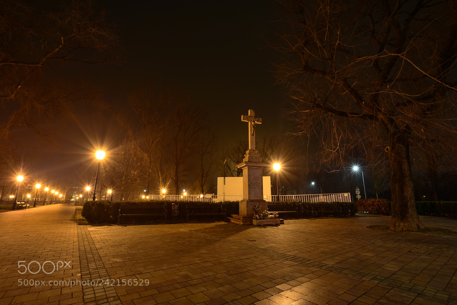 Nikon D7200 sample photo. Untitled photography