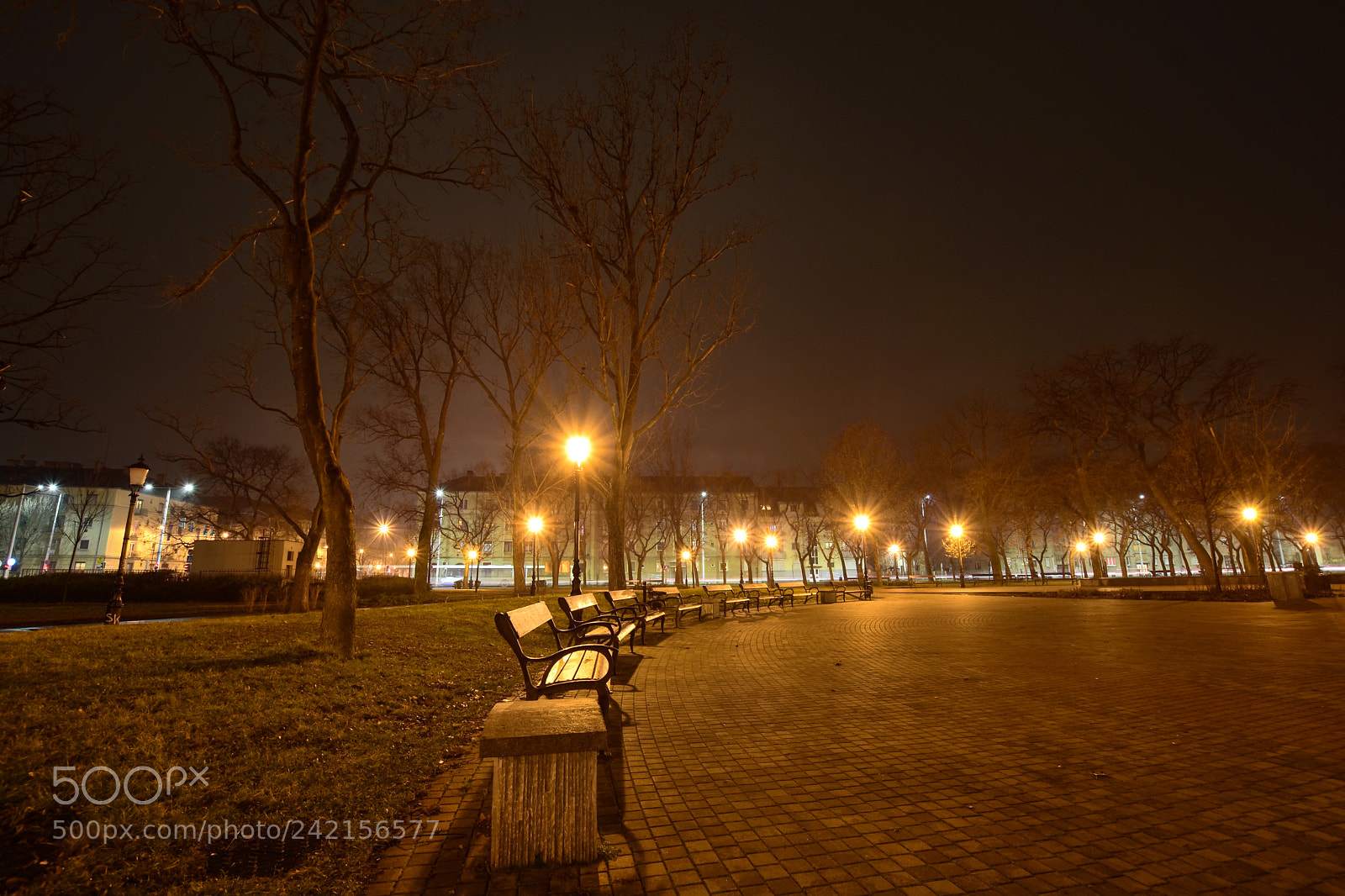 Nikon D7200 sample photo. Untitled photography