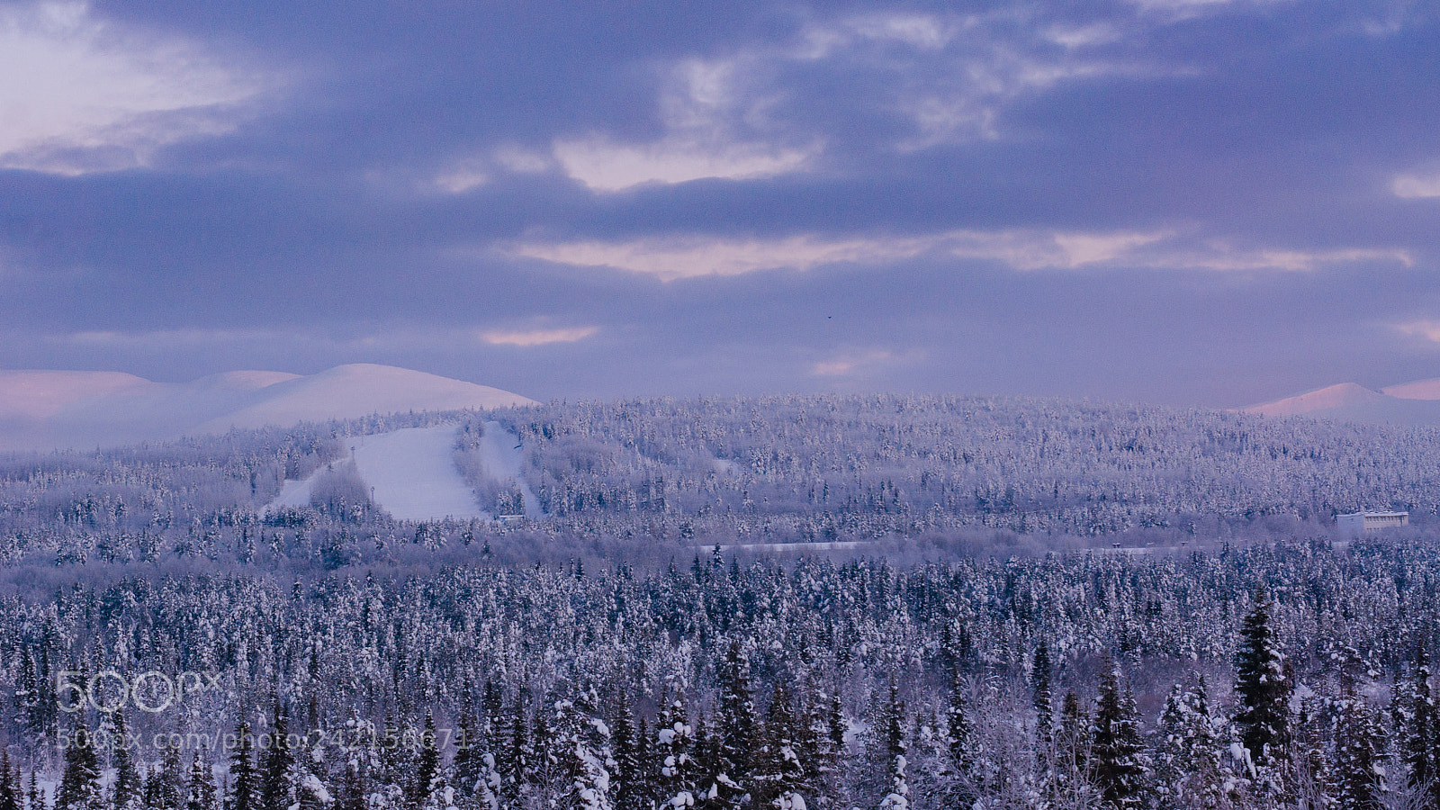 Sony Alpha NEX-6 sample photo. Hibiny scape photography