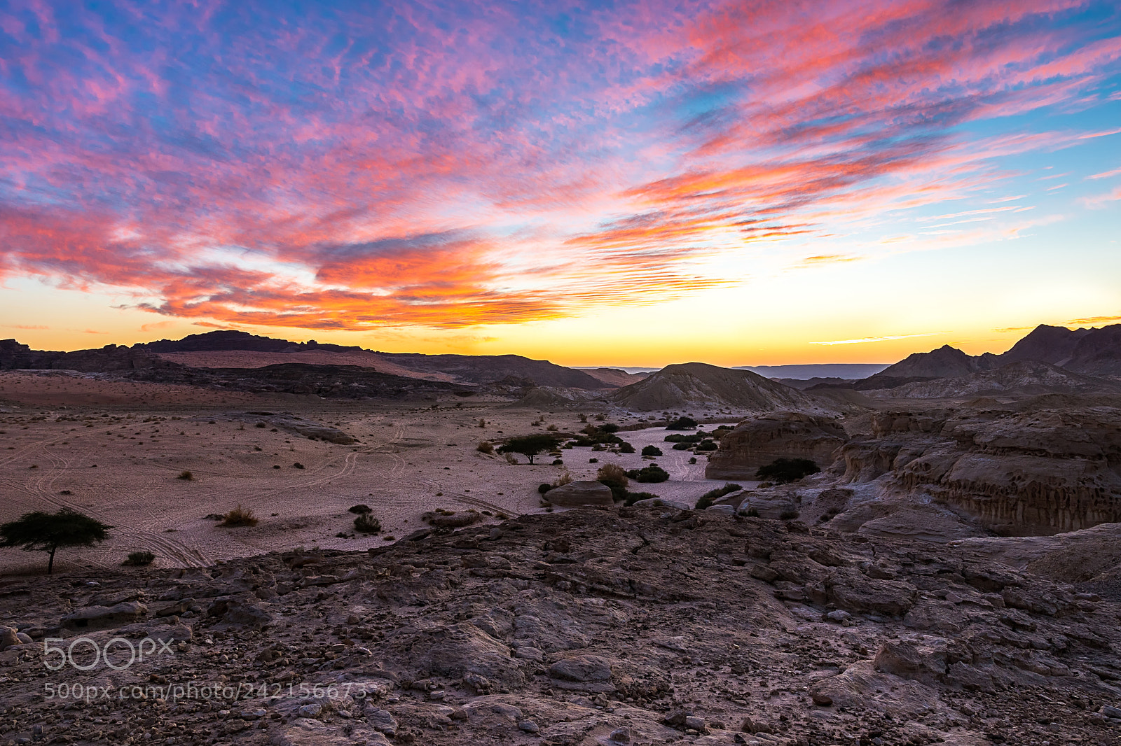 Sony ILCA-77M2 sample photo. Wadi araba sunset photography