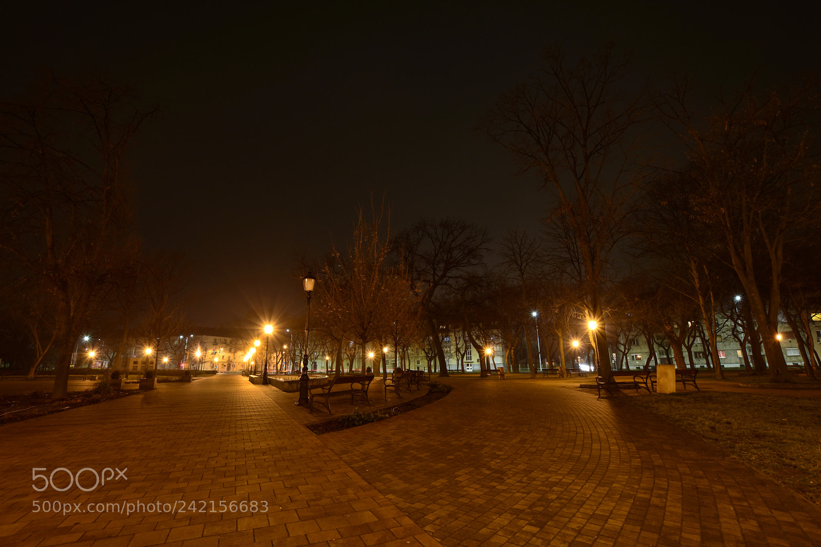 Nikon D7200 sample photo. Untitled photography