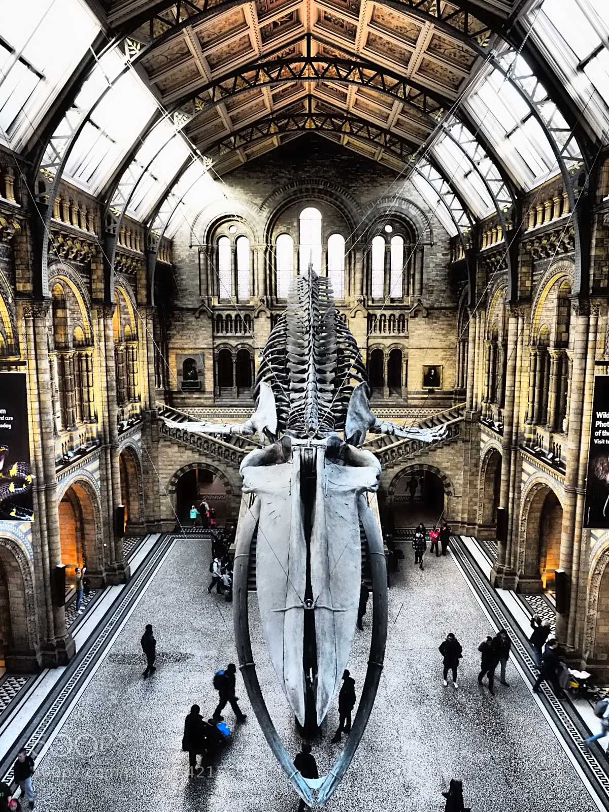 Olympus OM-D E-M5 II sample photo. Blue whale and people photography