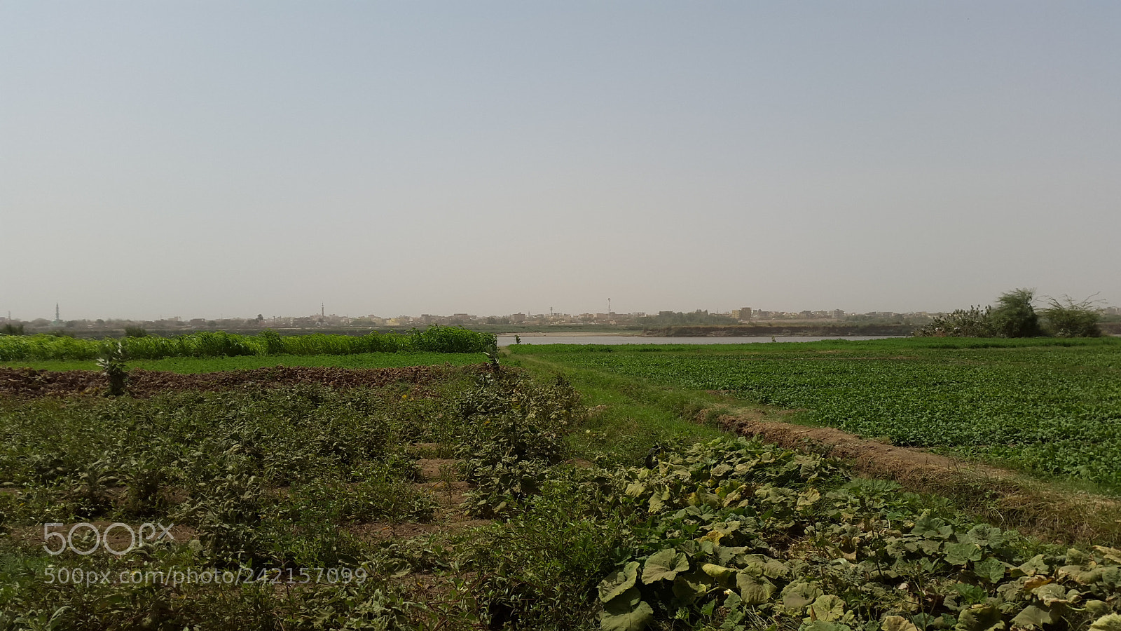 Samsung Galaxy S5 sample photo. Untitled photography