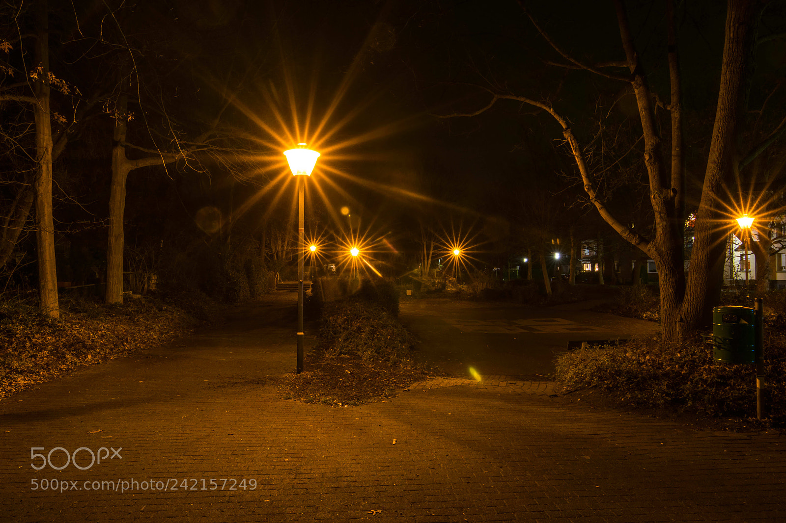 Nikon D5300 sample photo. Lights in the park photography