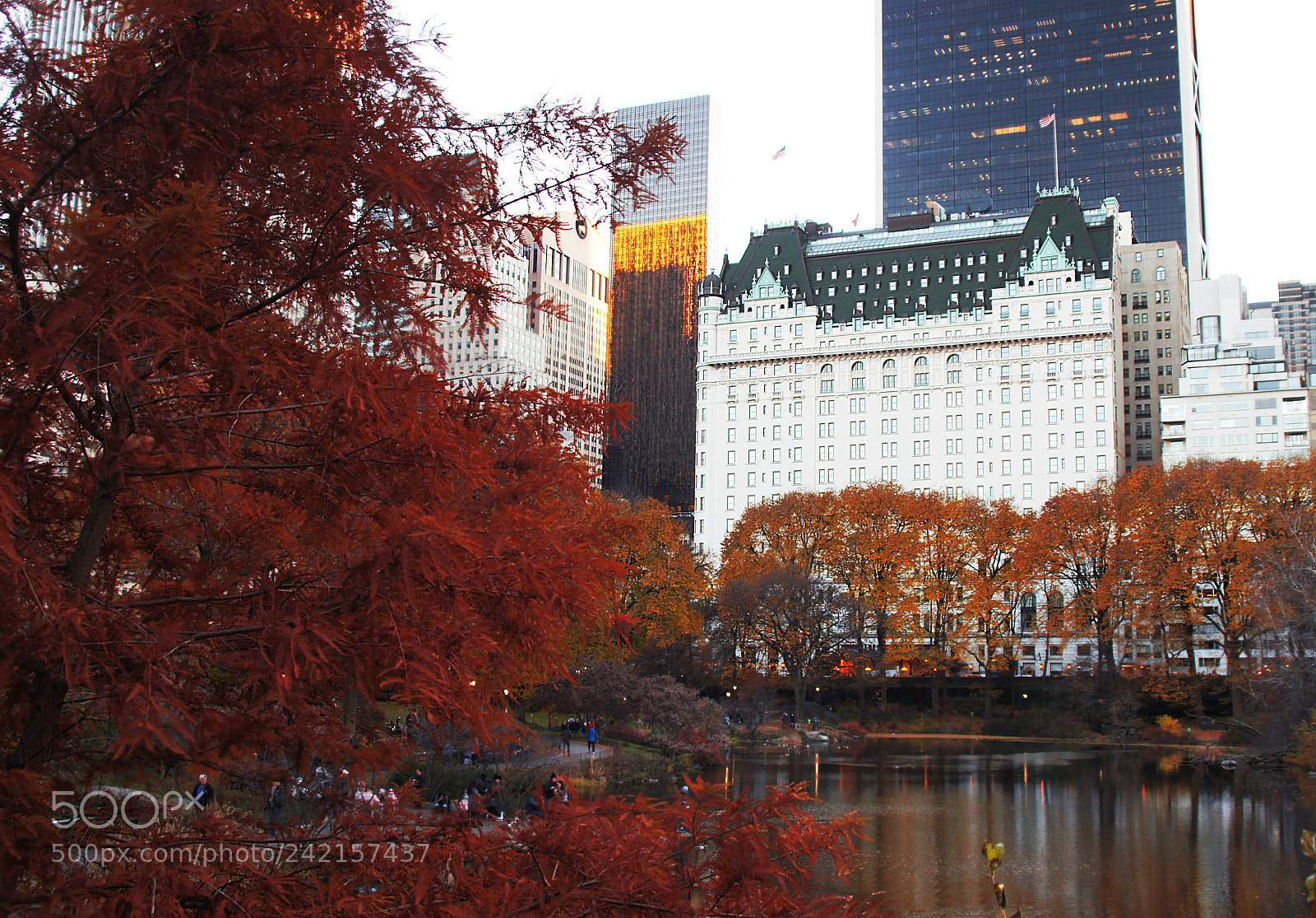 Sony SLT-A55 (SLT-A55V) sample photo. Plaza hotel photography