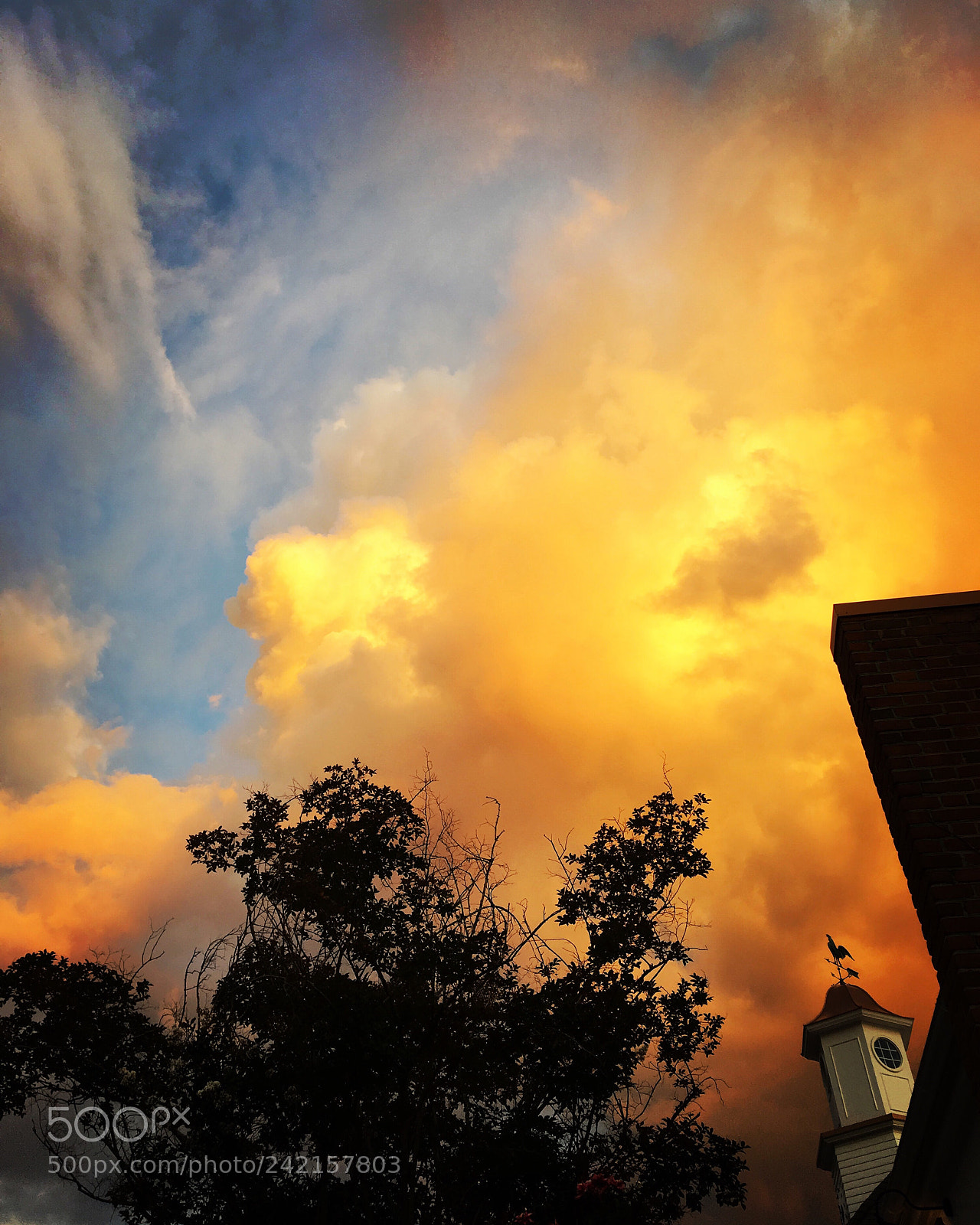 Apple iPhone 6s sample photo. Vibrant skies photography