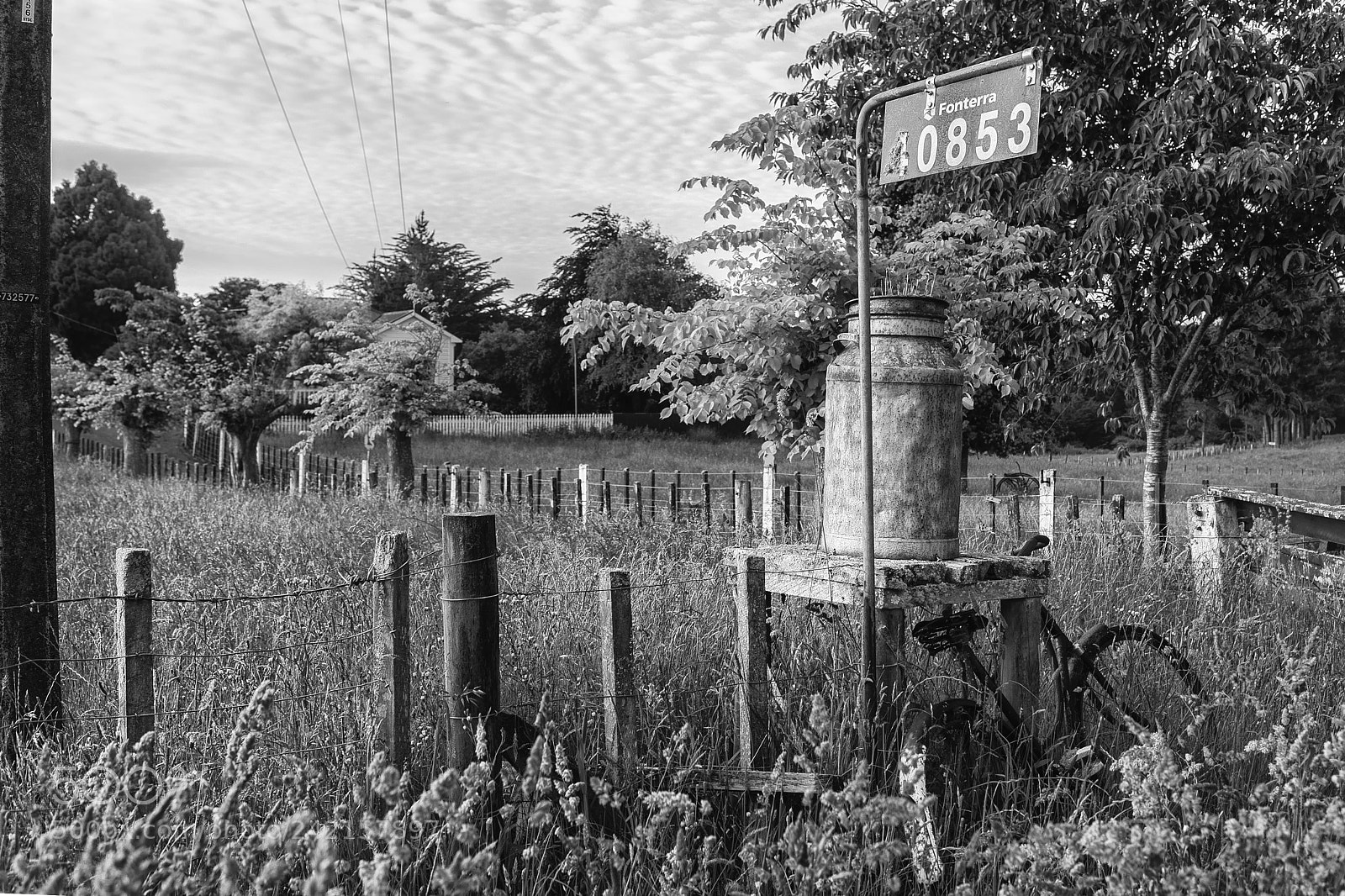 Nikon D700 sample photo. Milk churn, eltham photography