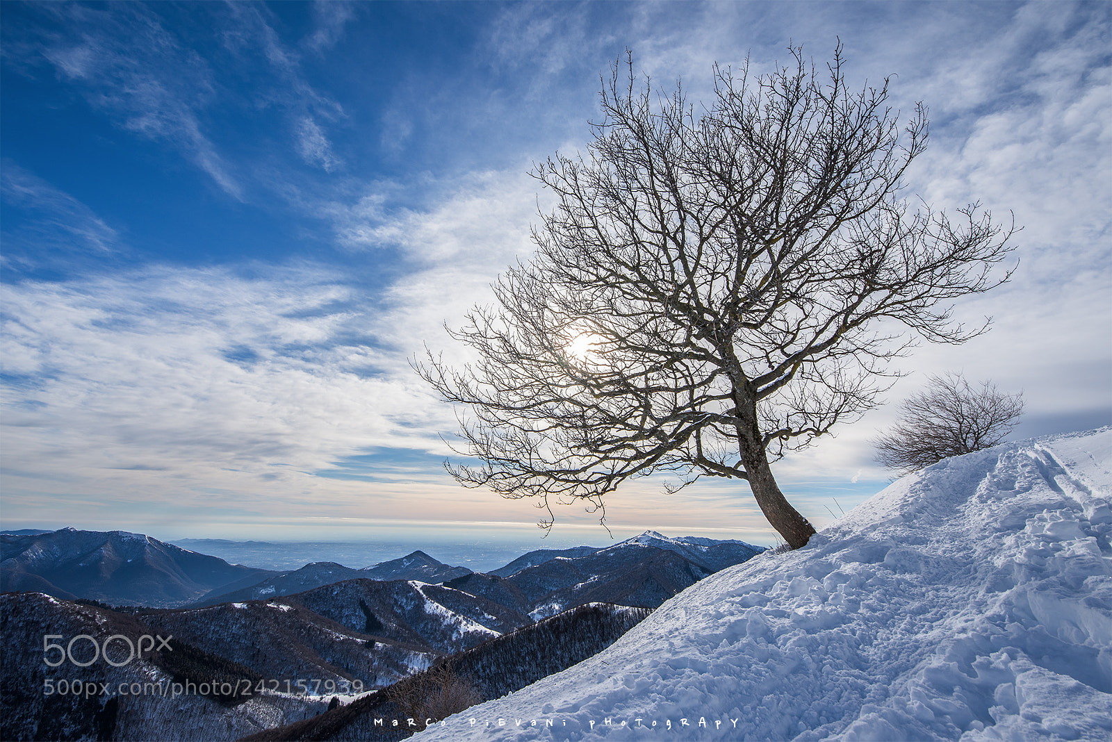 Nikon D810 sample photo. The one photography