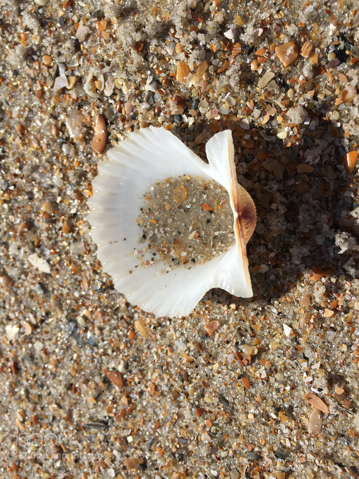 Apple iPhone 6 sample photo. By the sea shore photography