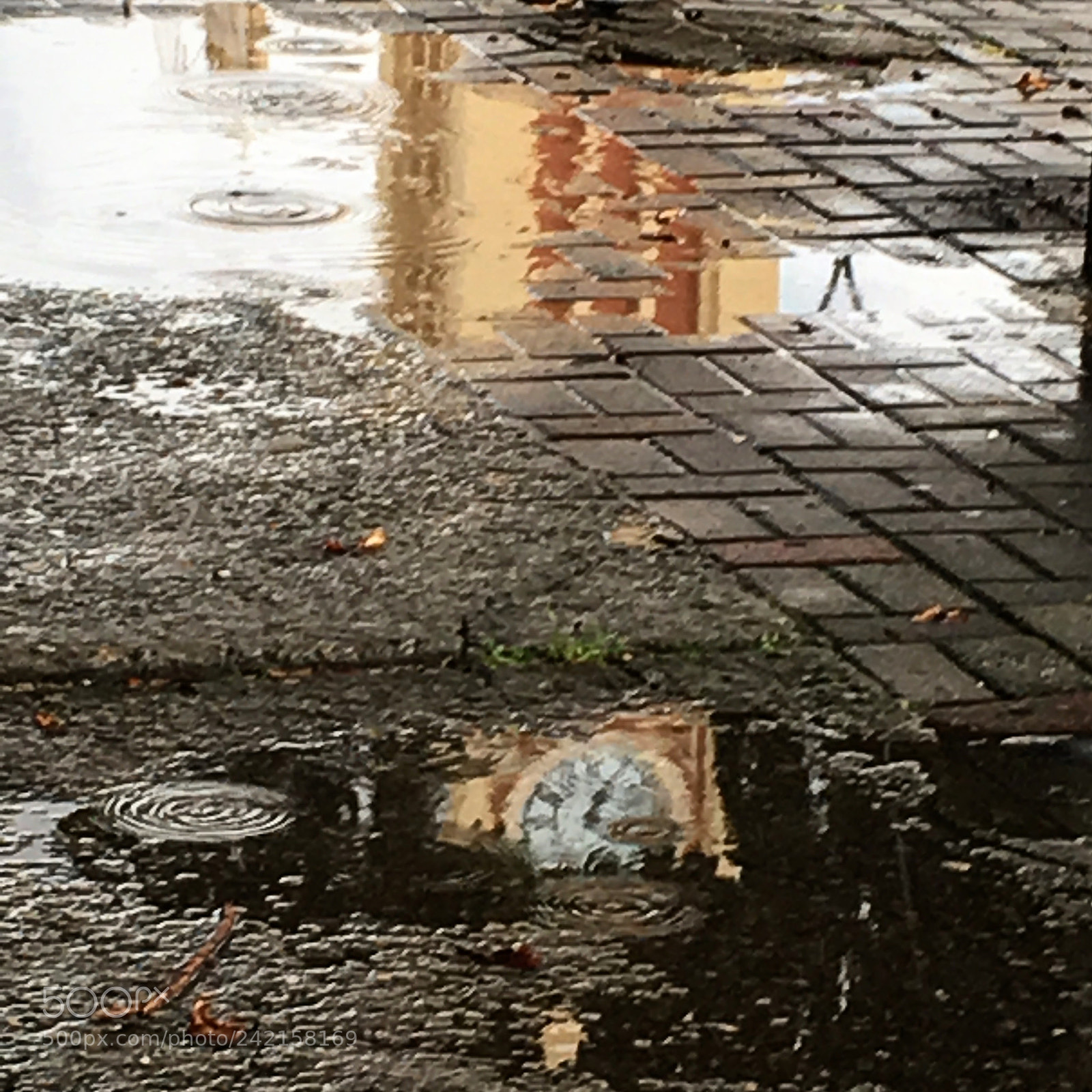 Apple iPhone SE sample photo. The ghost rail station  photography