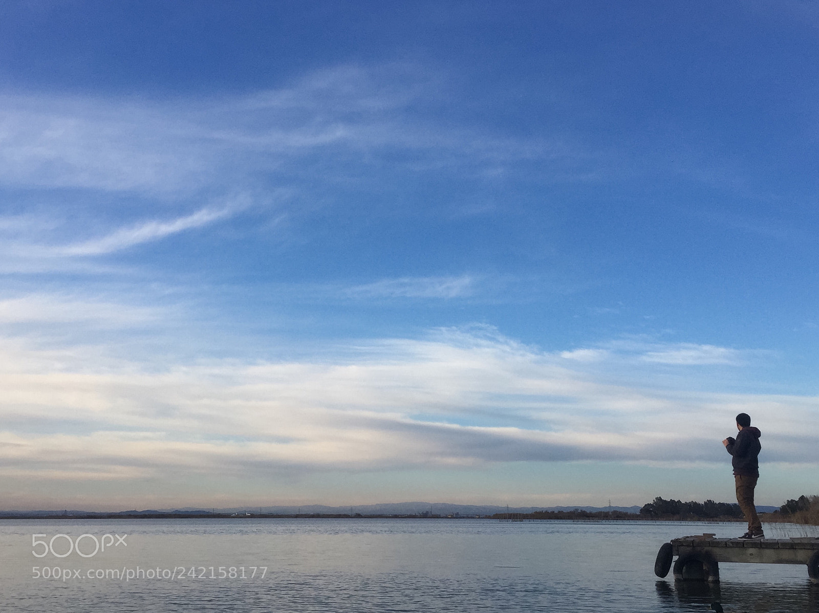 Apple iPhone 6 sample photo. Albufera - january 2017 photography