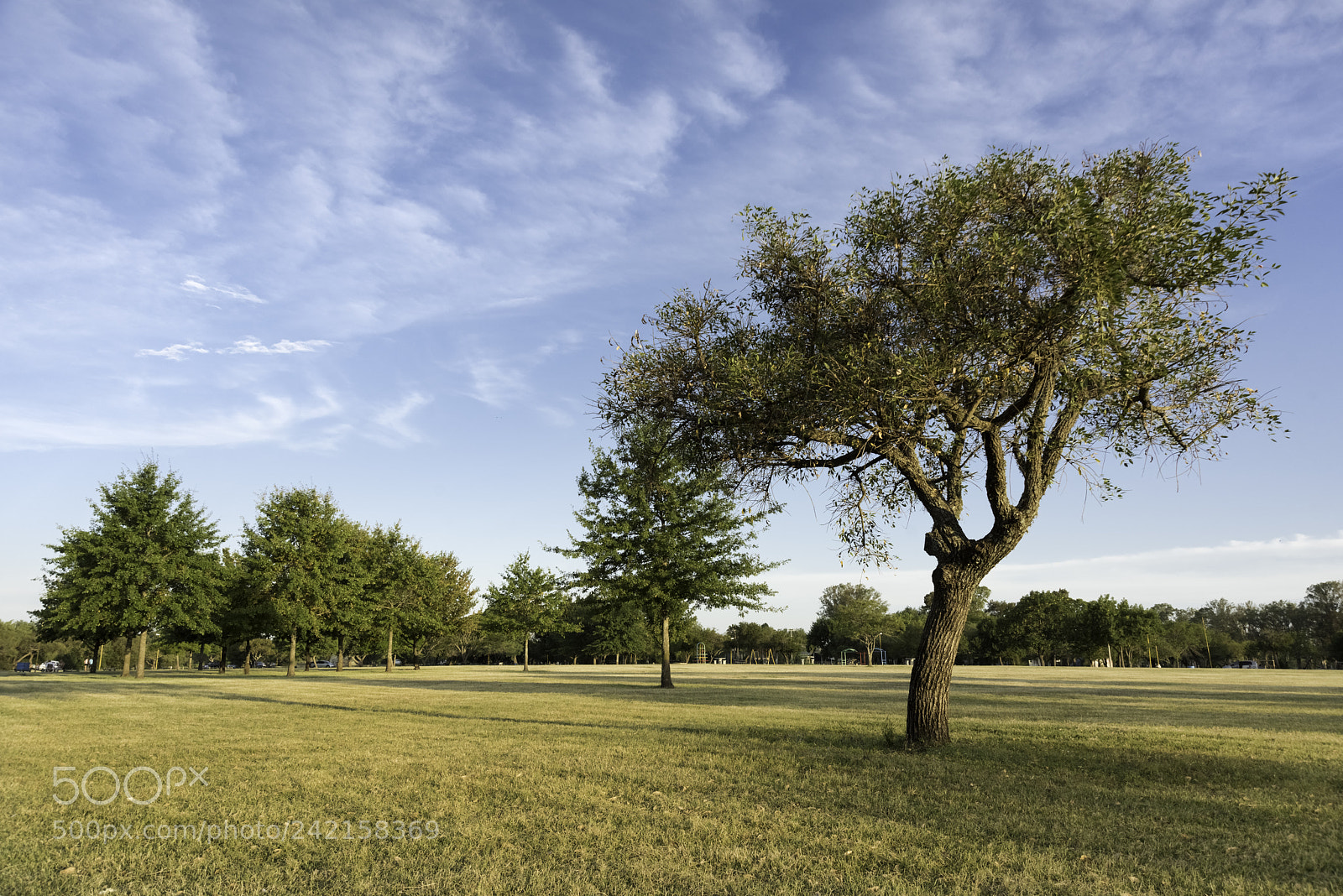 Nikon D810 sample photo. Parque unzué photography