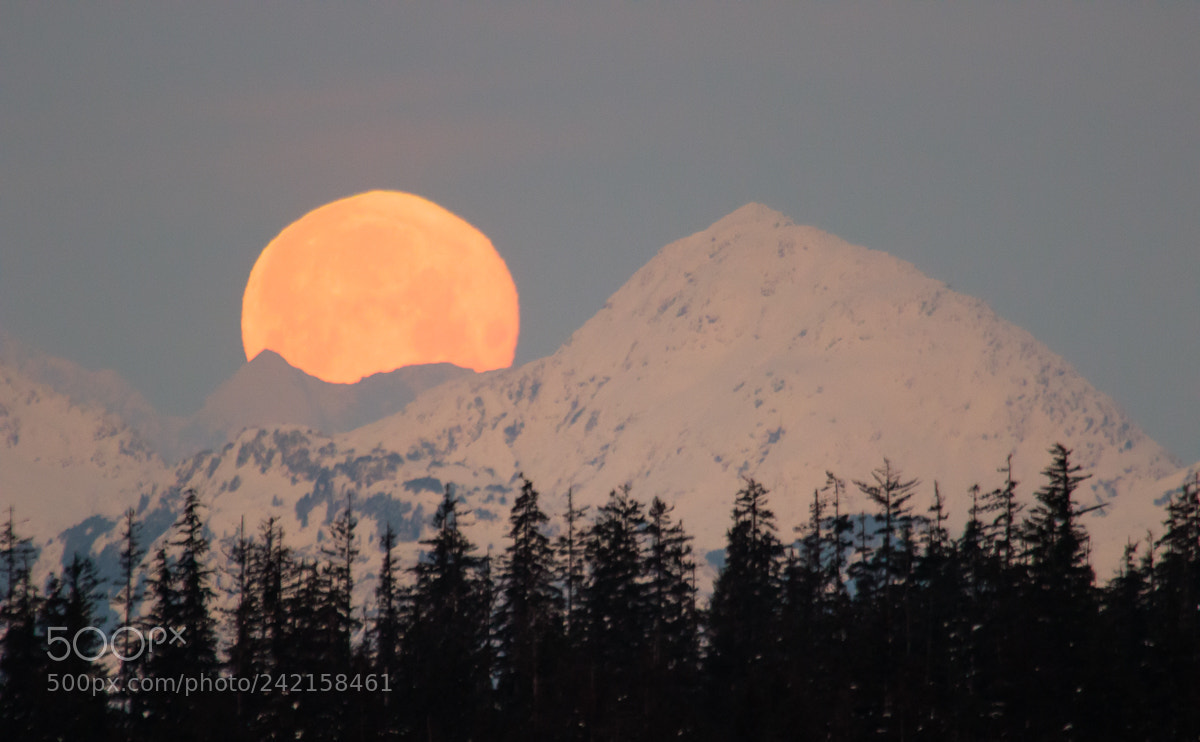 Canon EOS 7D Mark II sample photo. A dramatic full moon photography