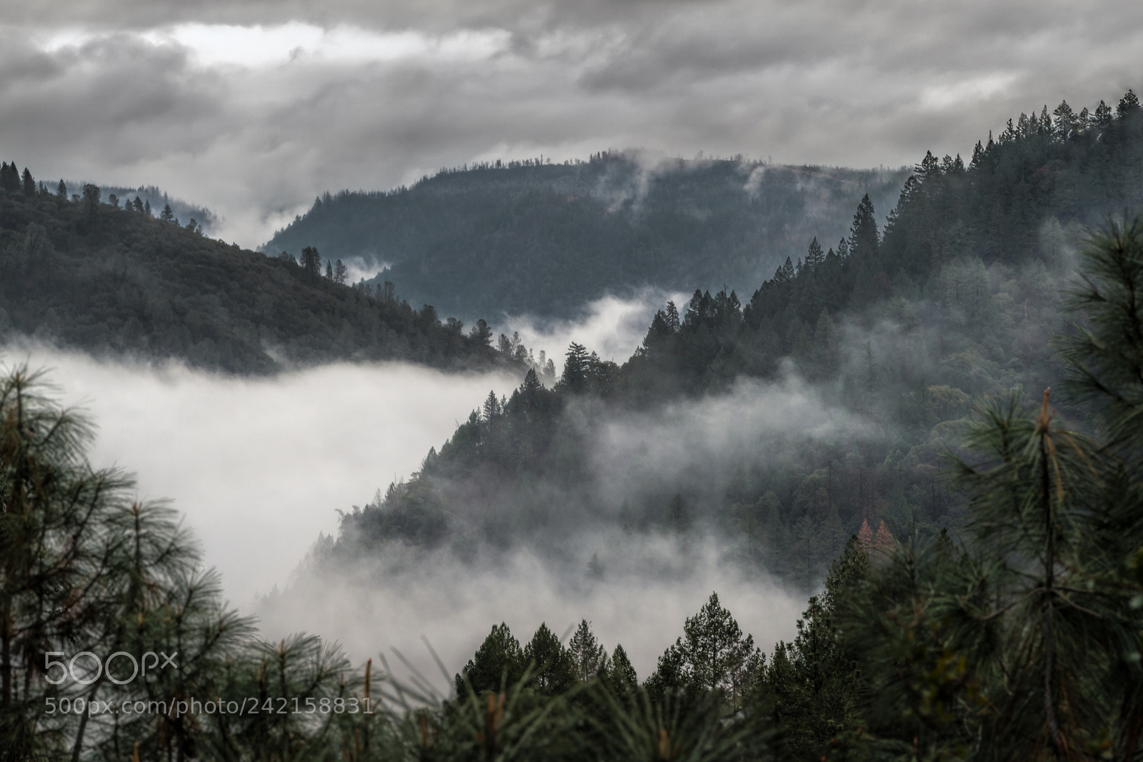 Nikon D5 sample photo. Valley of clouds photography