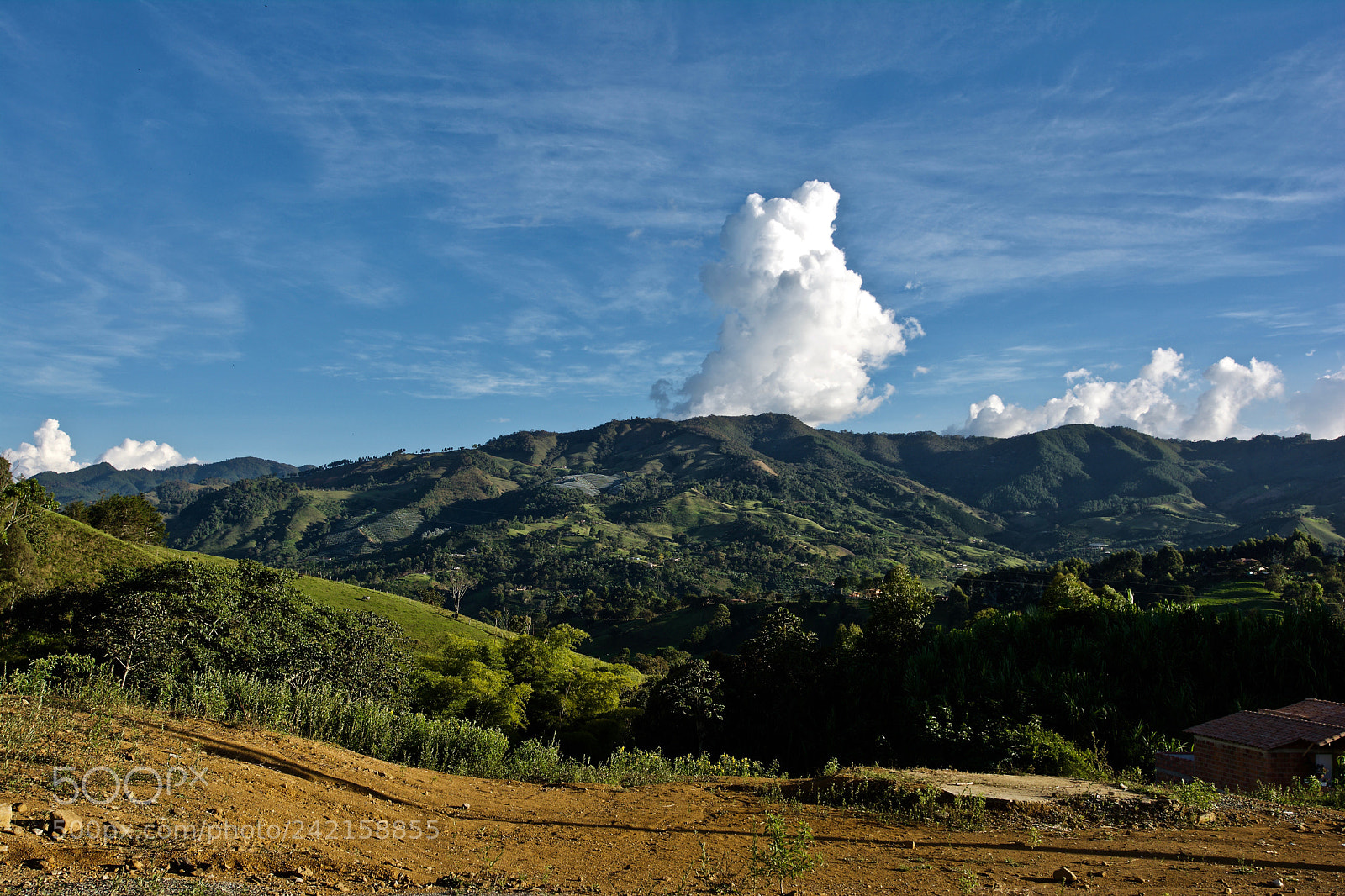 Nikon D7100 sample photo. K photography