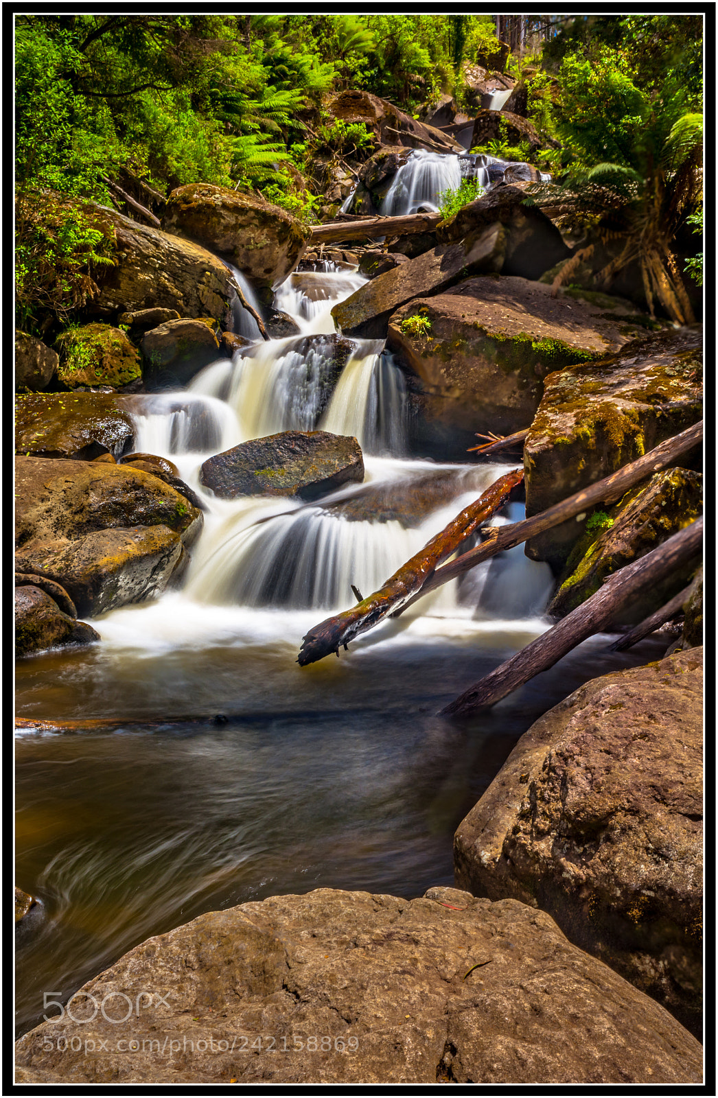 Nikon D7200 sample photo. Keppel falls, marysville ii photography