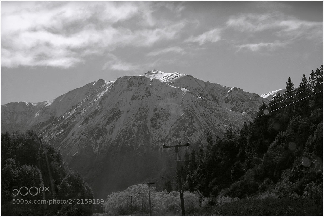 Canon EOS 20D sample photo. Orig photography