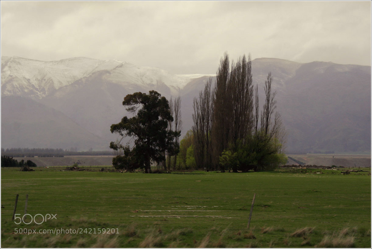 Canon EOS 20D sample photo. Orig photography