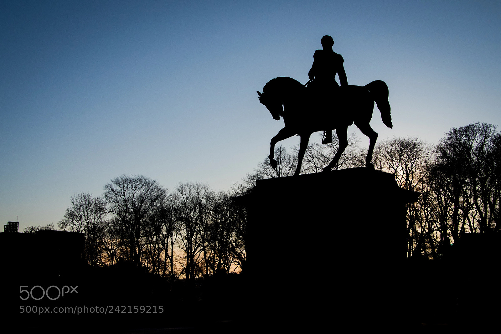 Canon EOS 7D Mark II sample photo. Royal horse photography