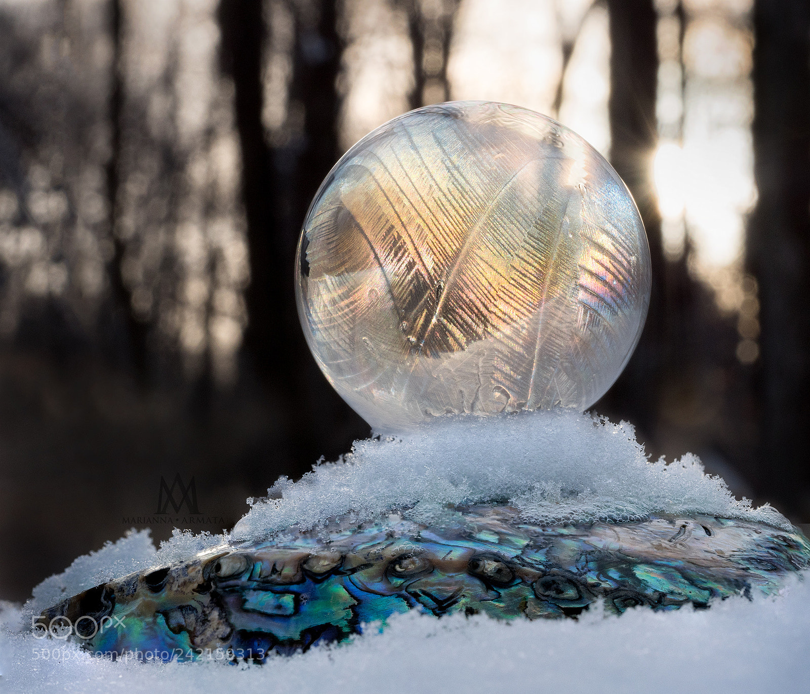 Panasonic Lumix DMC-GH4 sample photo. Winter sunset bubble photography