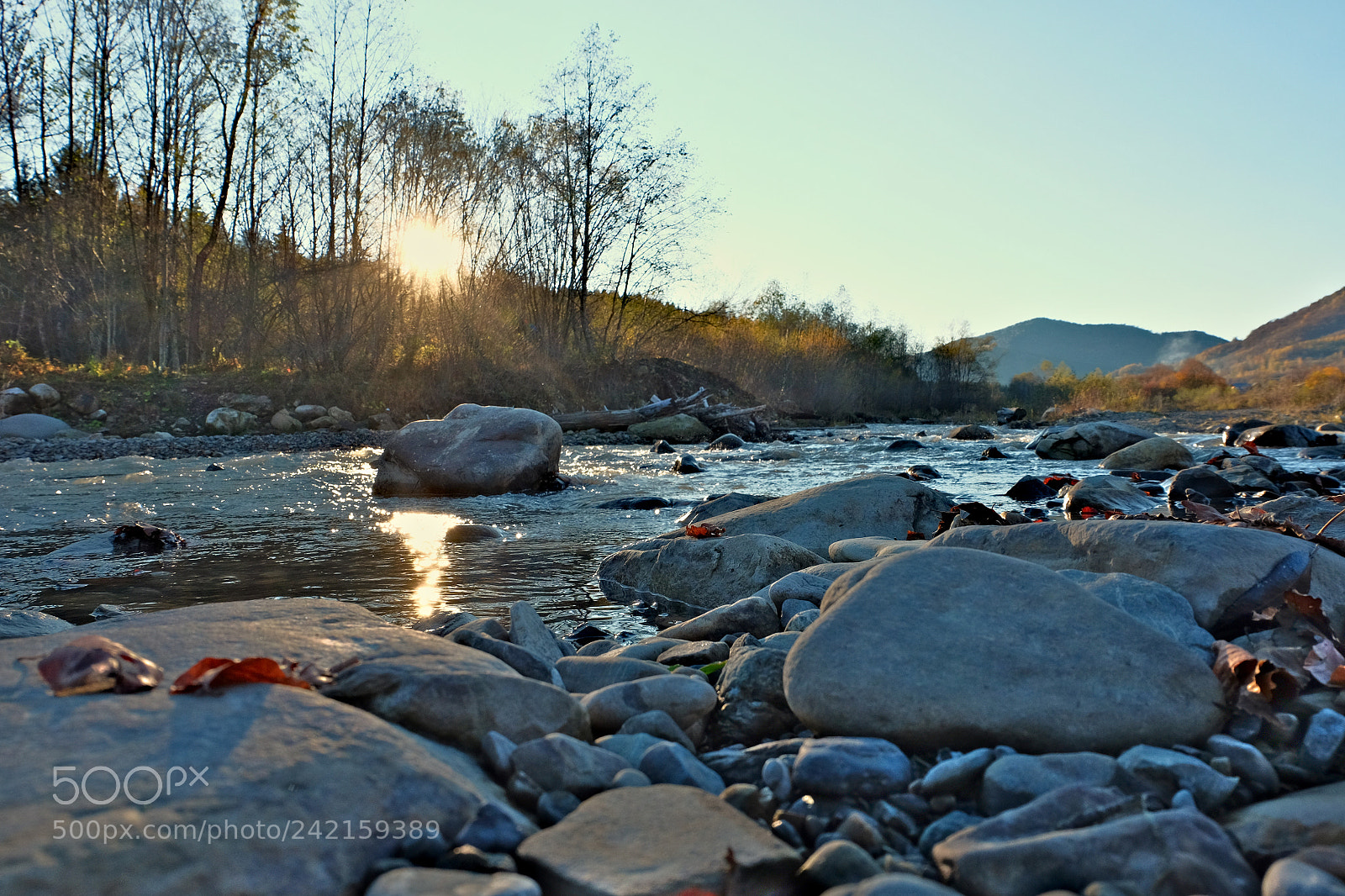 Fujifilm X-T10 sample photo. Untitled photography