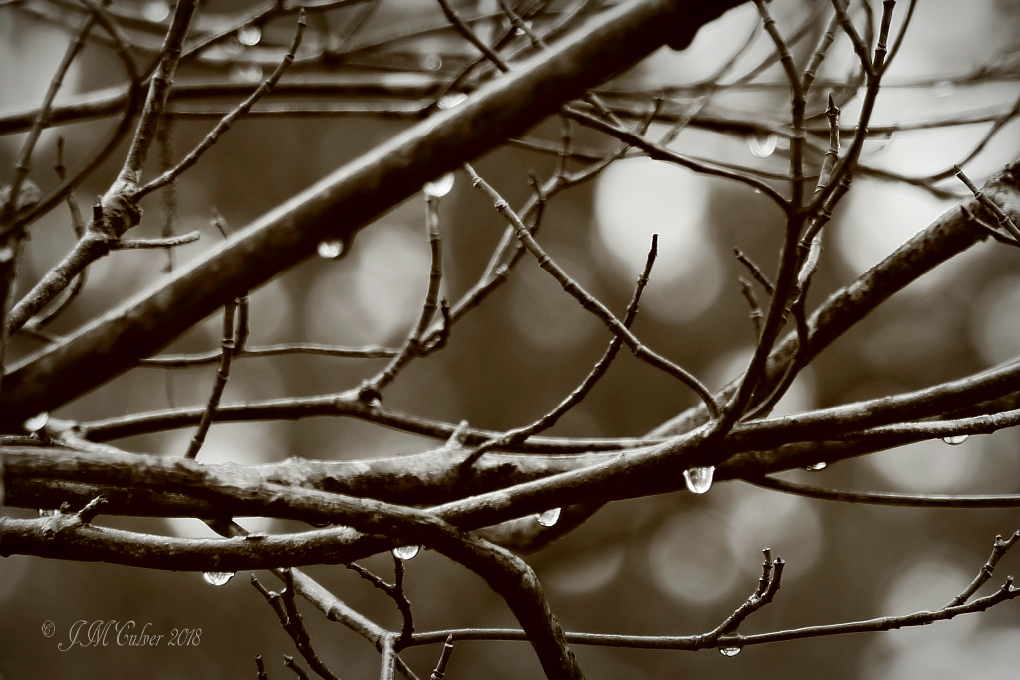 Canon EOS 77D (EOS 9000D / EOS 770D) sample photo. After the rain photography