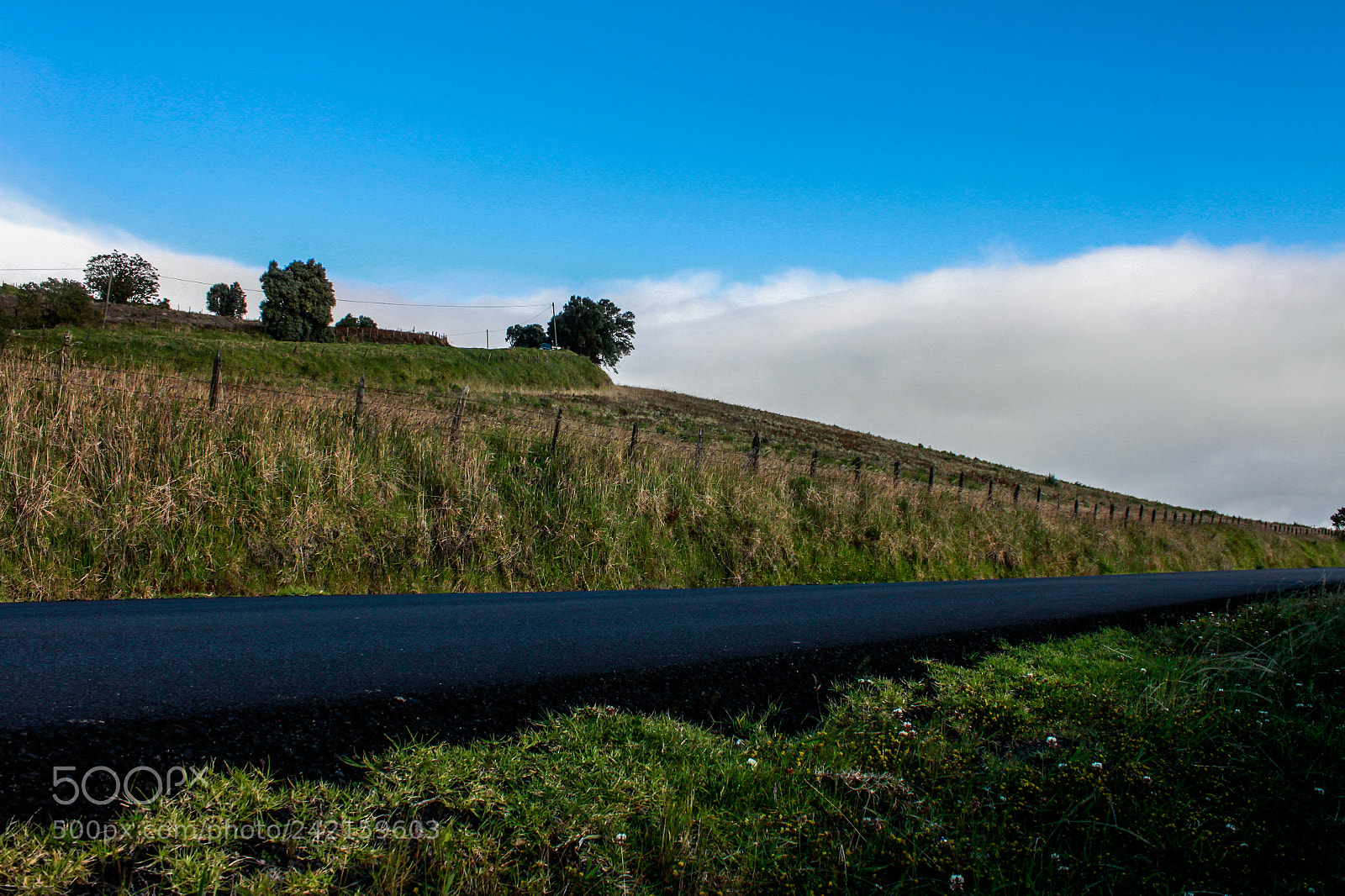 Canon EOS 500D (EOS Rebel T1i / EOS Kiss X3) sample photo. Cartago roads photography