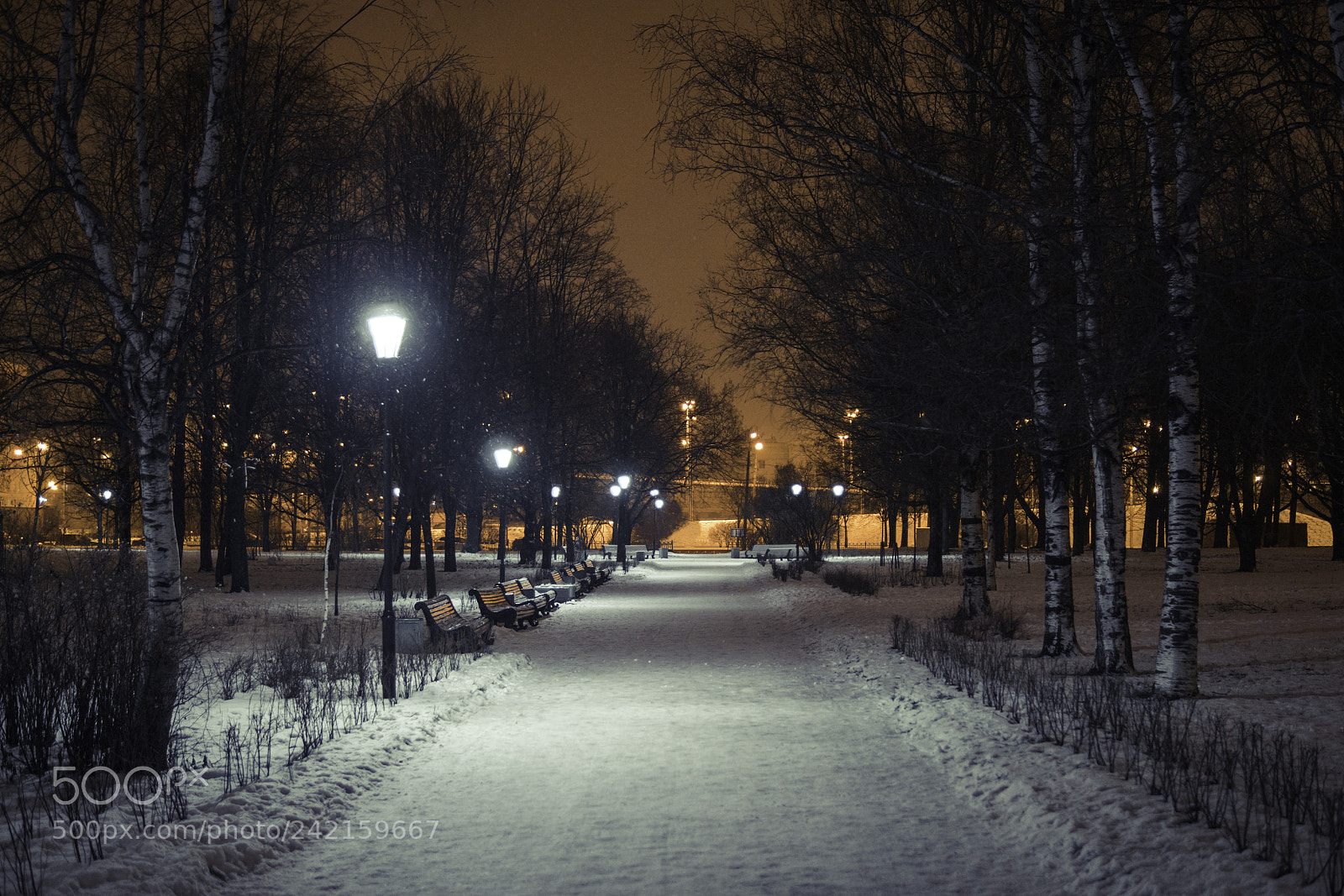 Sony a6500 sample photo. Dsc photography