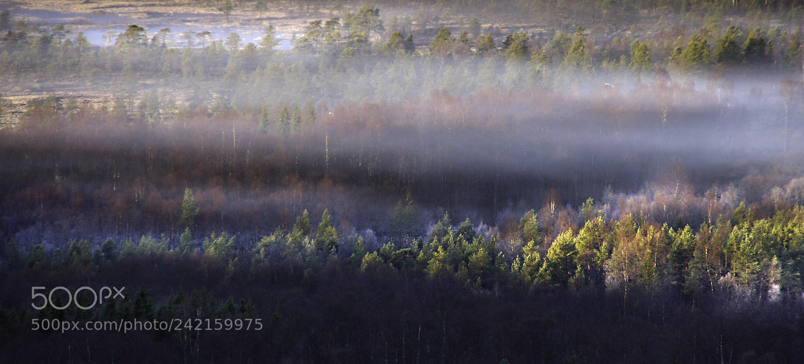 Nikon D50 sample photo. Nordover okt photography