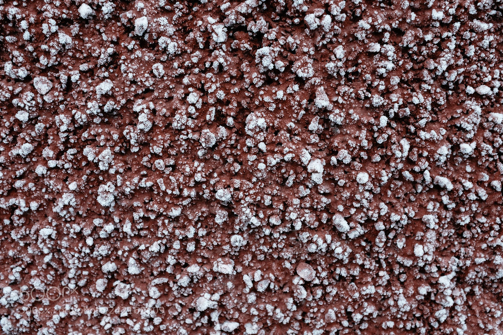 Fujifilm X100F sample photo. Frosty red wall photography