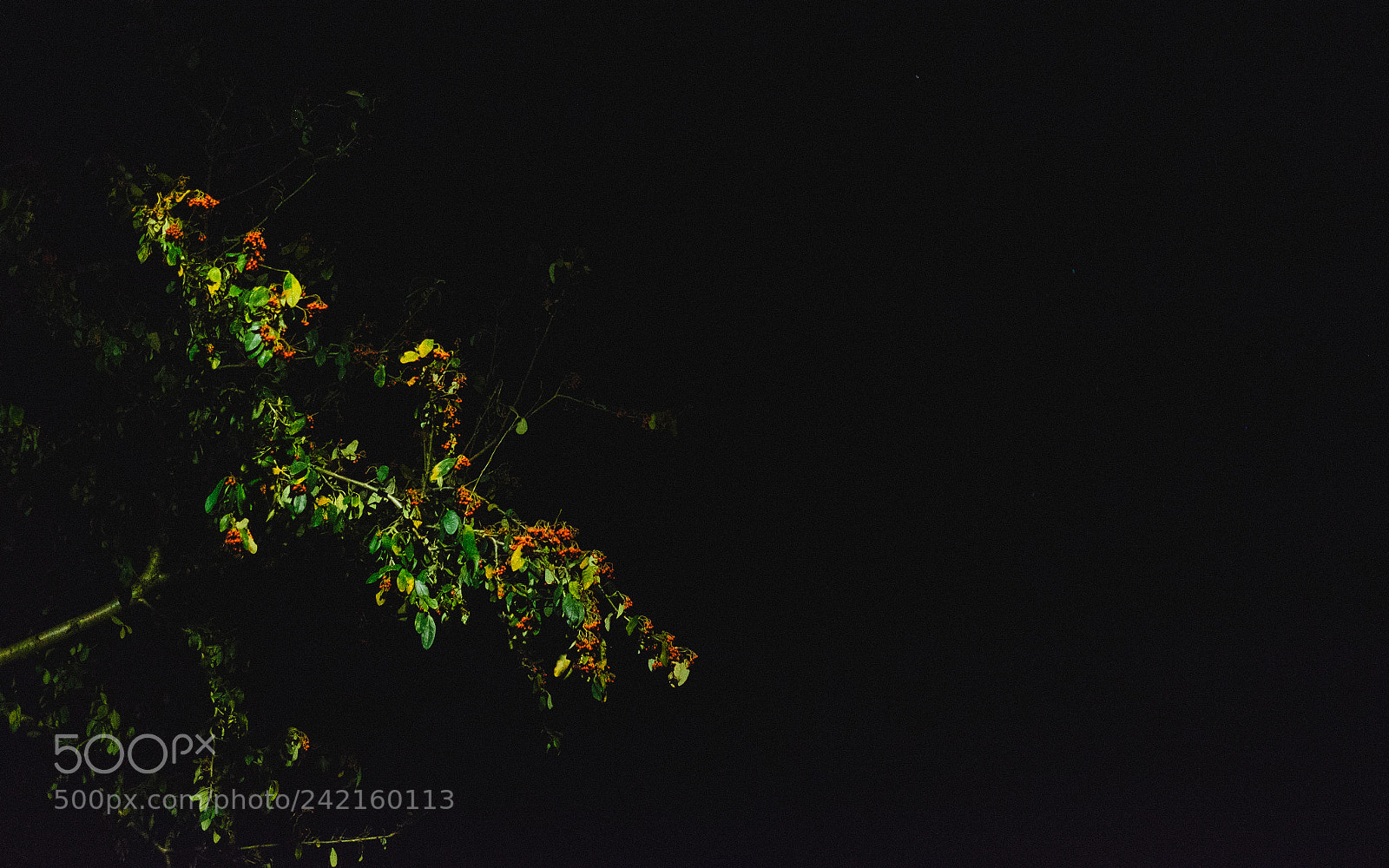 Fujifilm X-E2 sample photo. Colours in the darkness photography
