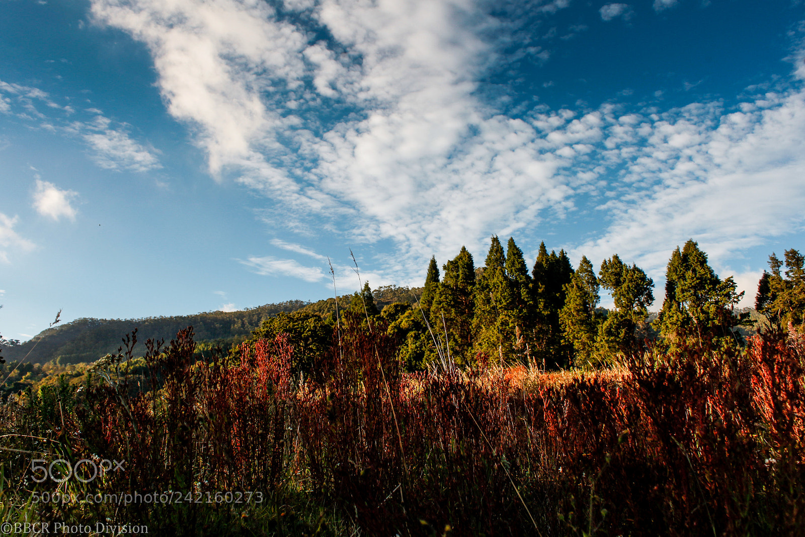 Canon EOS 500D (EOS Rebel T1i / EOS Kiss X3) sample photo. Mountain at the golden photography