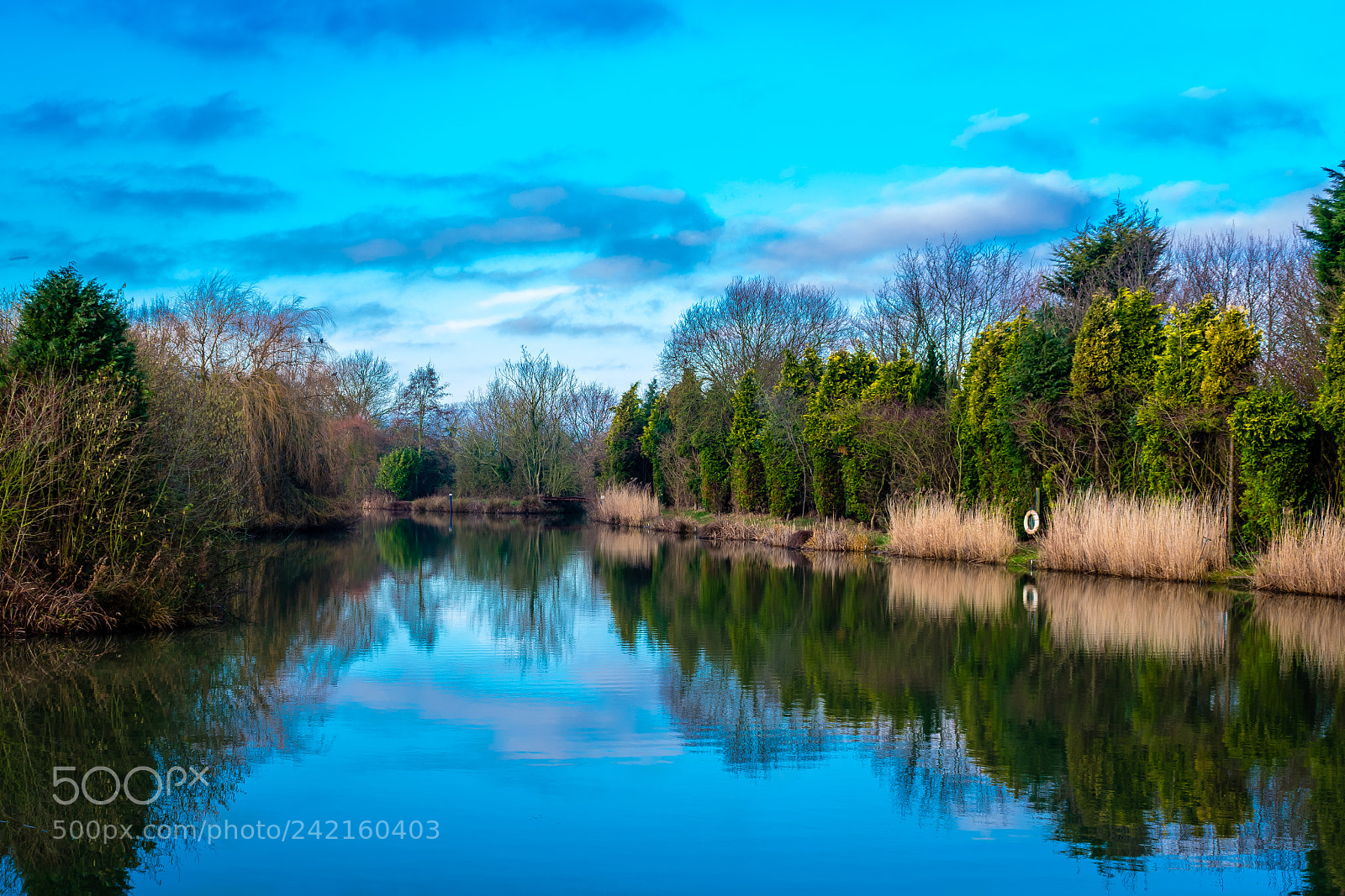Nikon D3400 sample photo. Afternoon at the pond photography