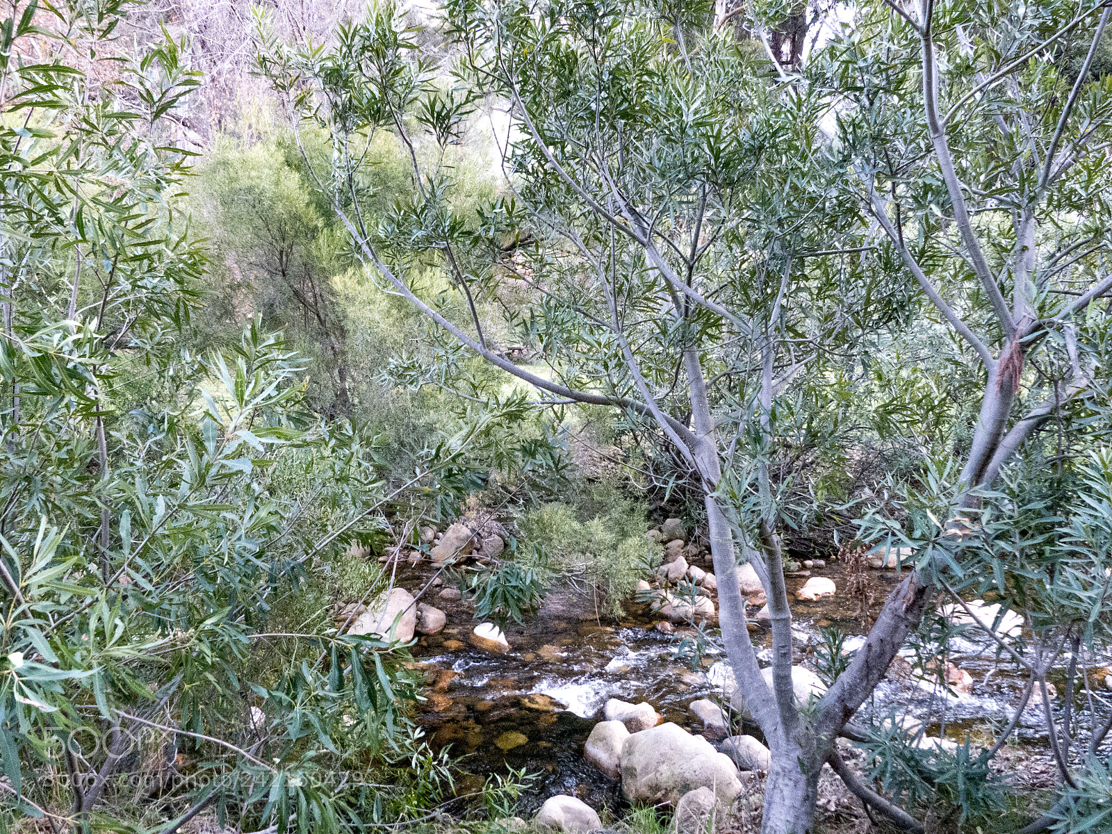 Panasonic Lumix DMC-FZ100 sample photo. Beautiful place in south photography