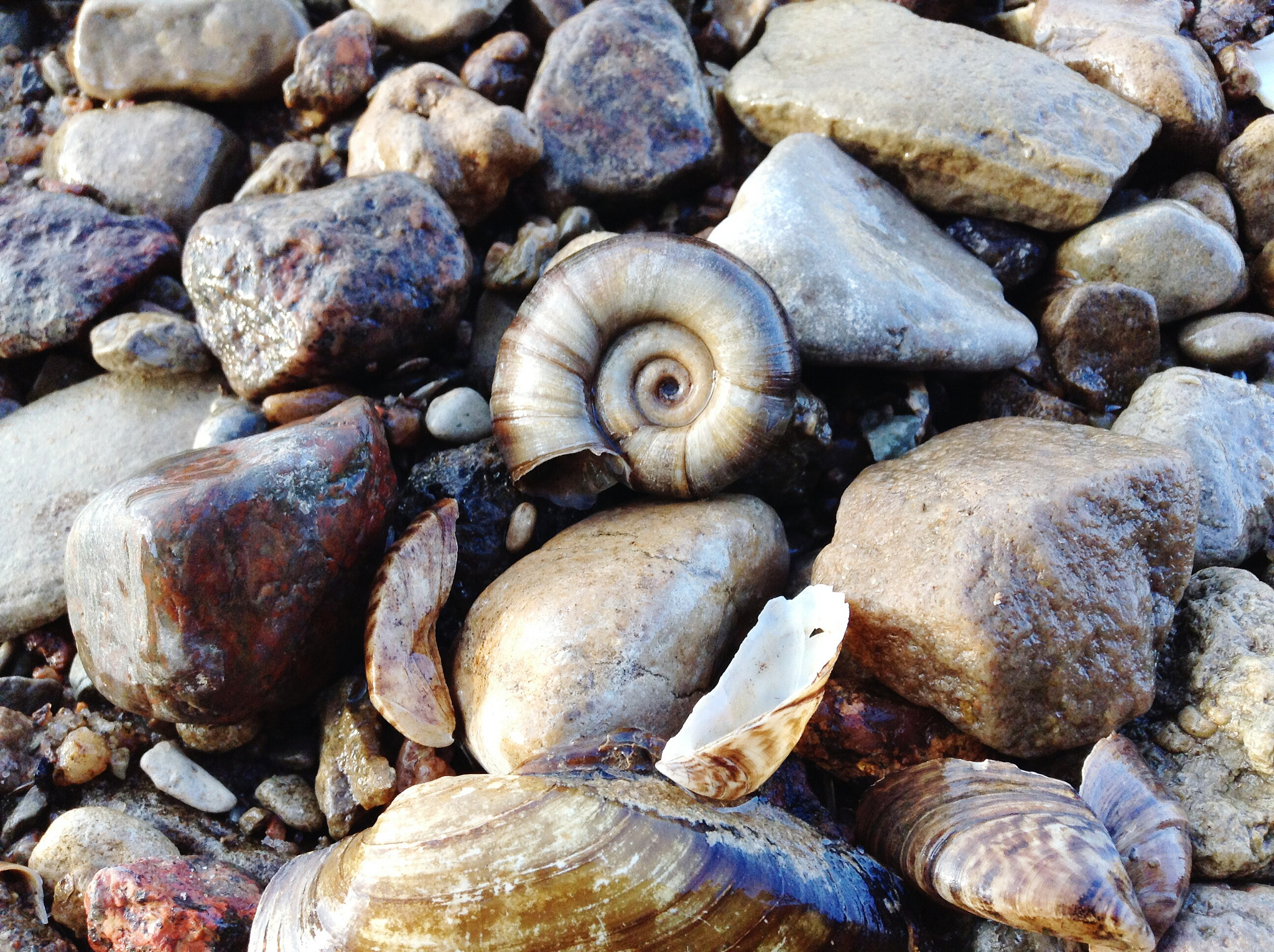 Apple iPad mini sample photo. Stone art photography