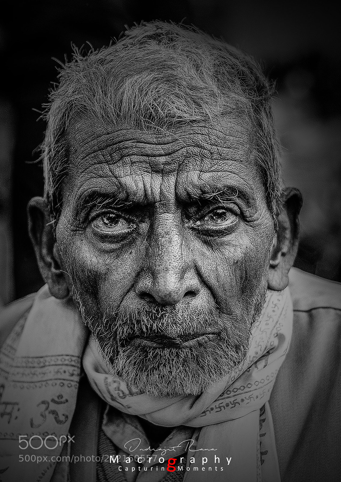 Nikon D7100 sample photo. The holy eyes. photography