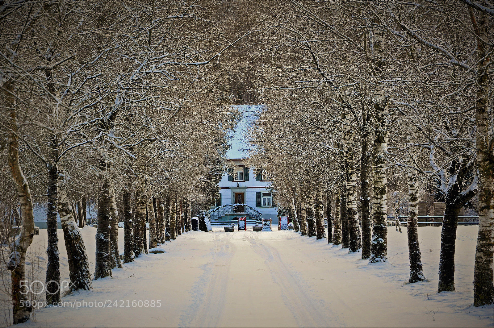 Nikon D90 sample photo. Winter dream photography
