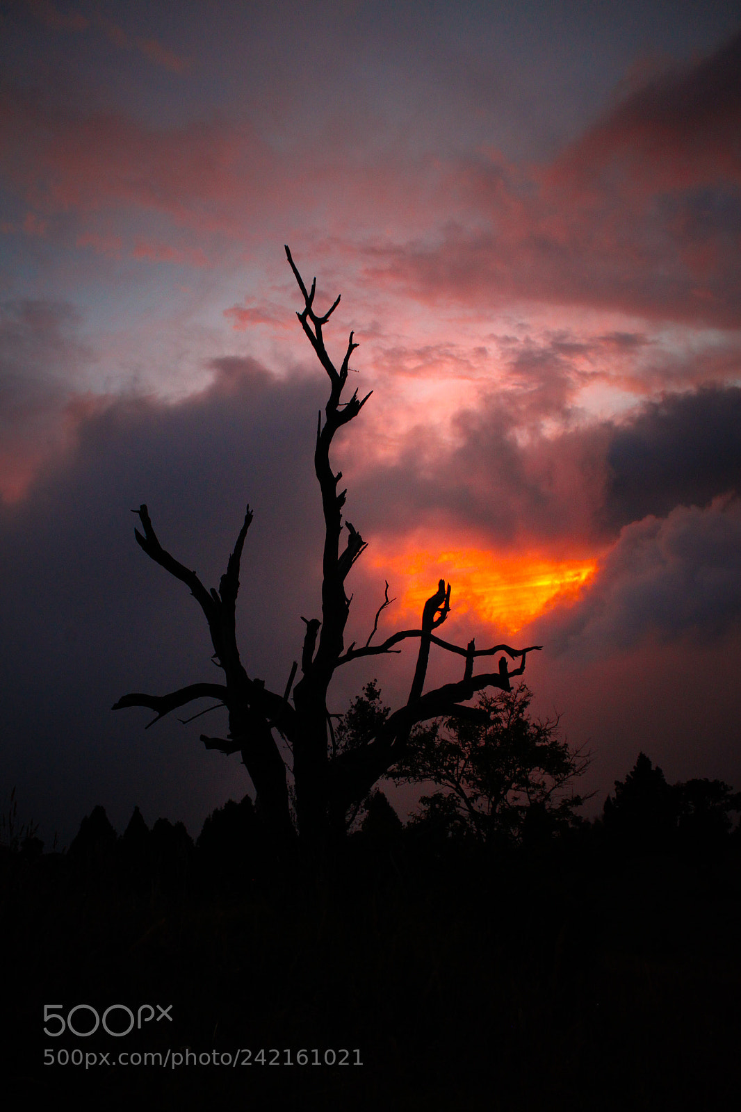 Canon EOS 500D (EOS Rebel T1i / EOS Kiss X3) sample photo. Fire in the sky photography