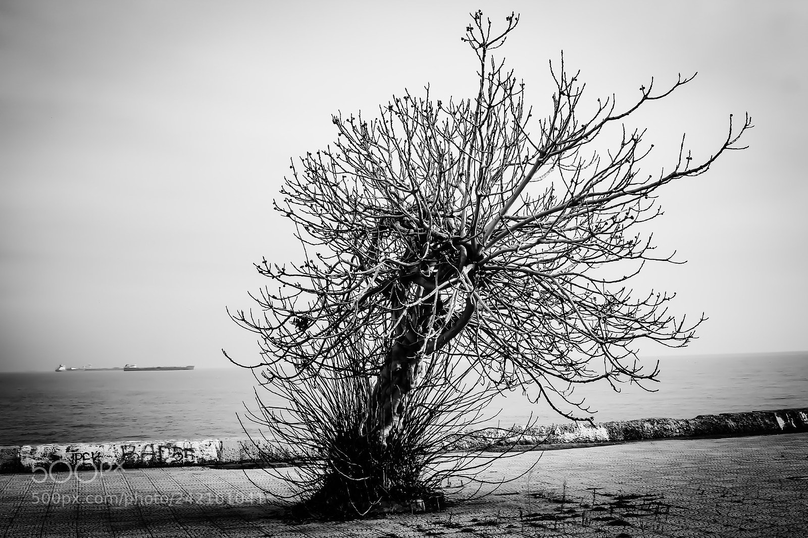 Canon EOS M sample photo. Winter photography
