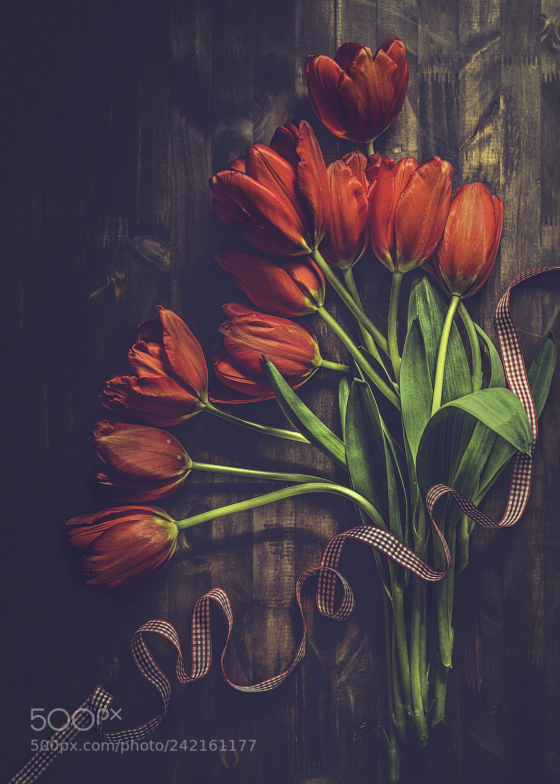 Nikon D600 sample photo. Red tulips photography