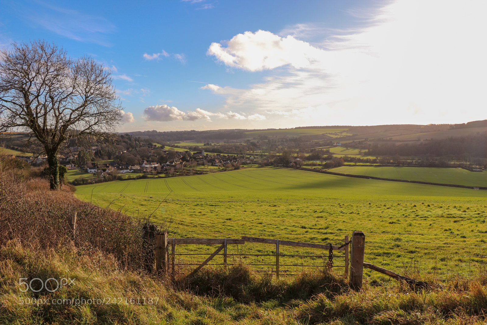 Canon EOS 77D (EOS 9000D / EOS 770D) sample photo. Country village behind green photography