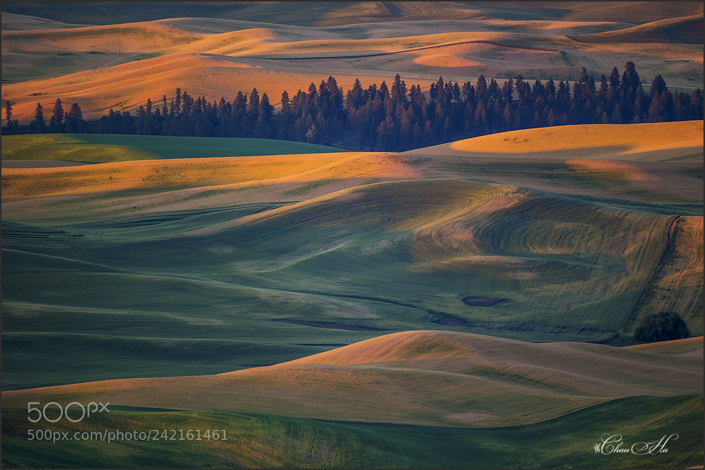 Canon EOS-1D X sample photo. Palouse hills sunset 2 photography