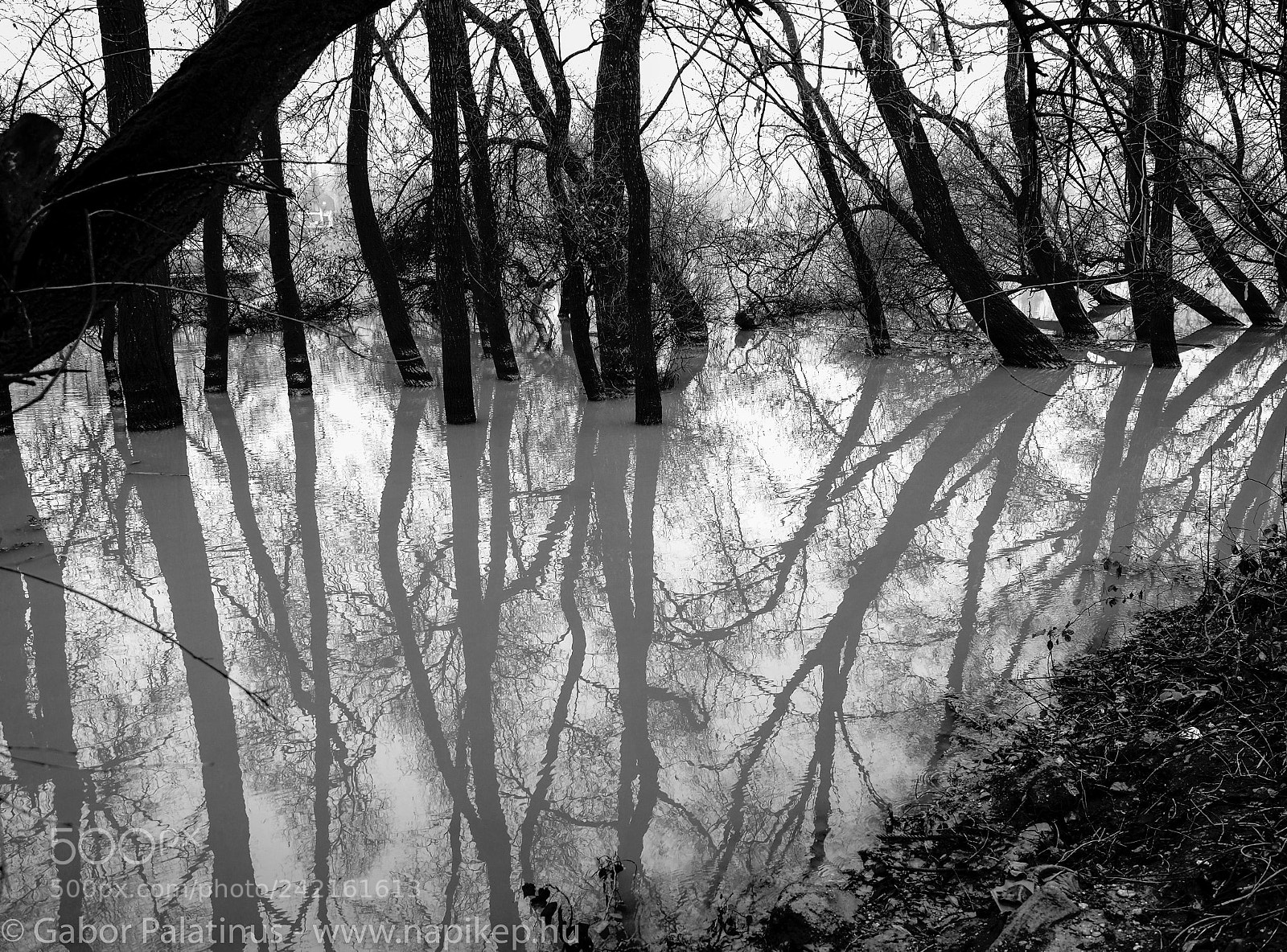 Olympus PEN-F sample photo. Cold arms photography