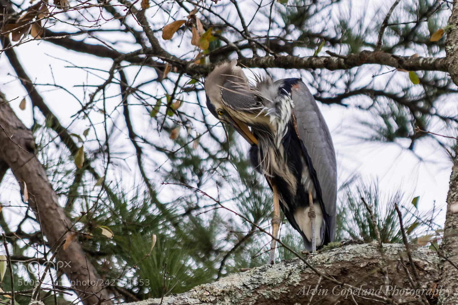 Nikon D7200 sample photo. Just a little shy photography
