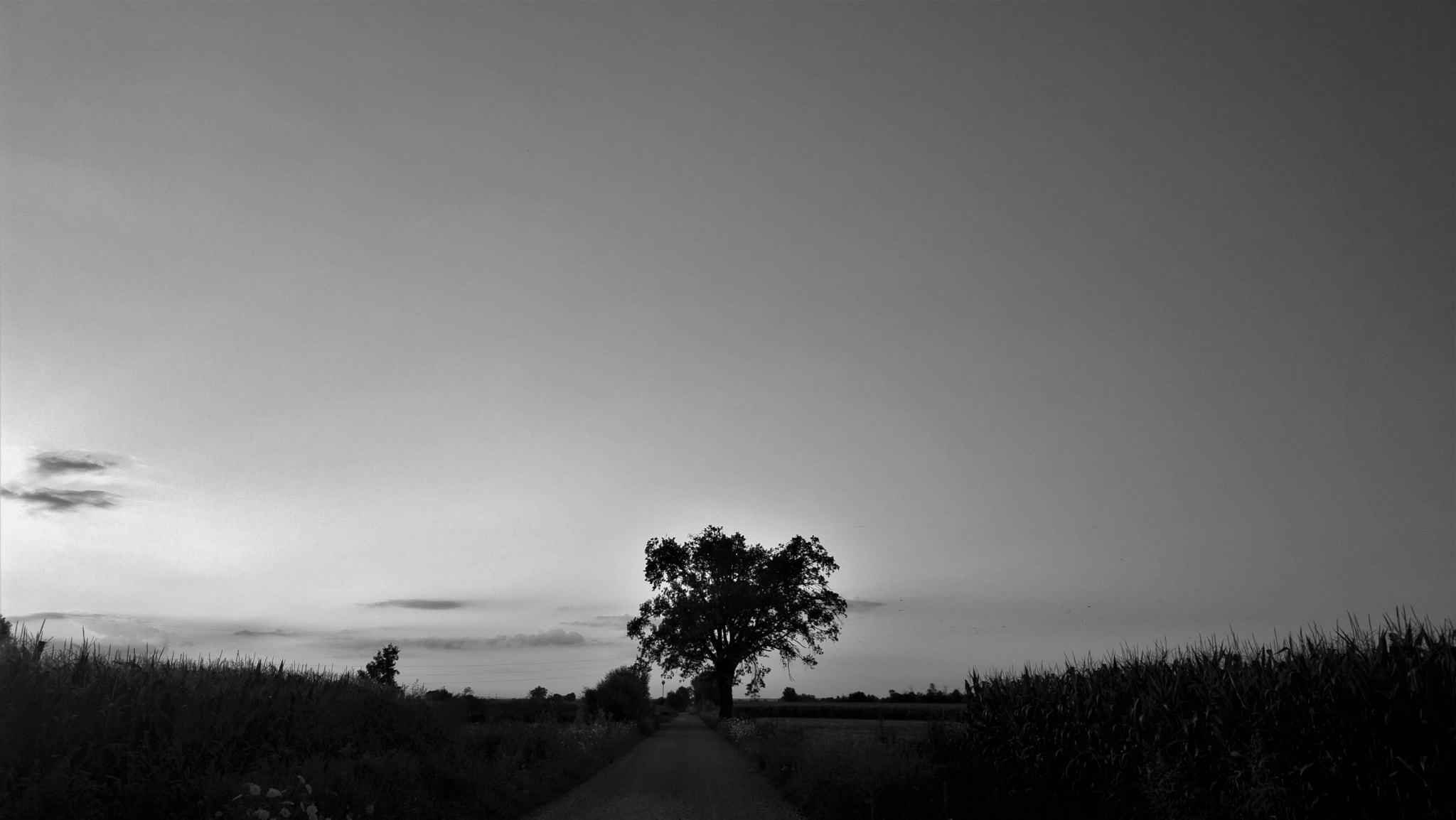 Nokia 808 PureView sample photo. Country road photography