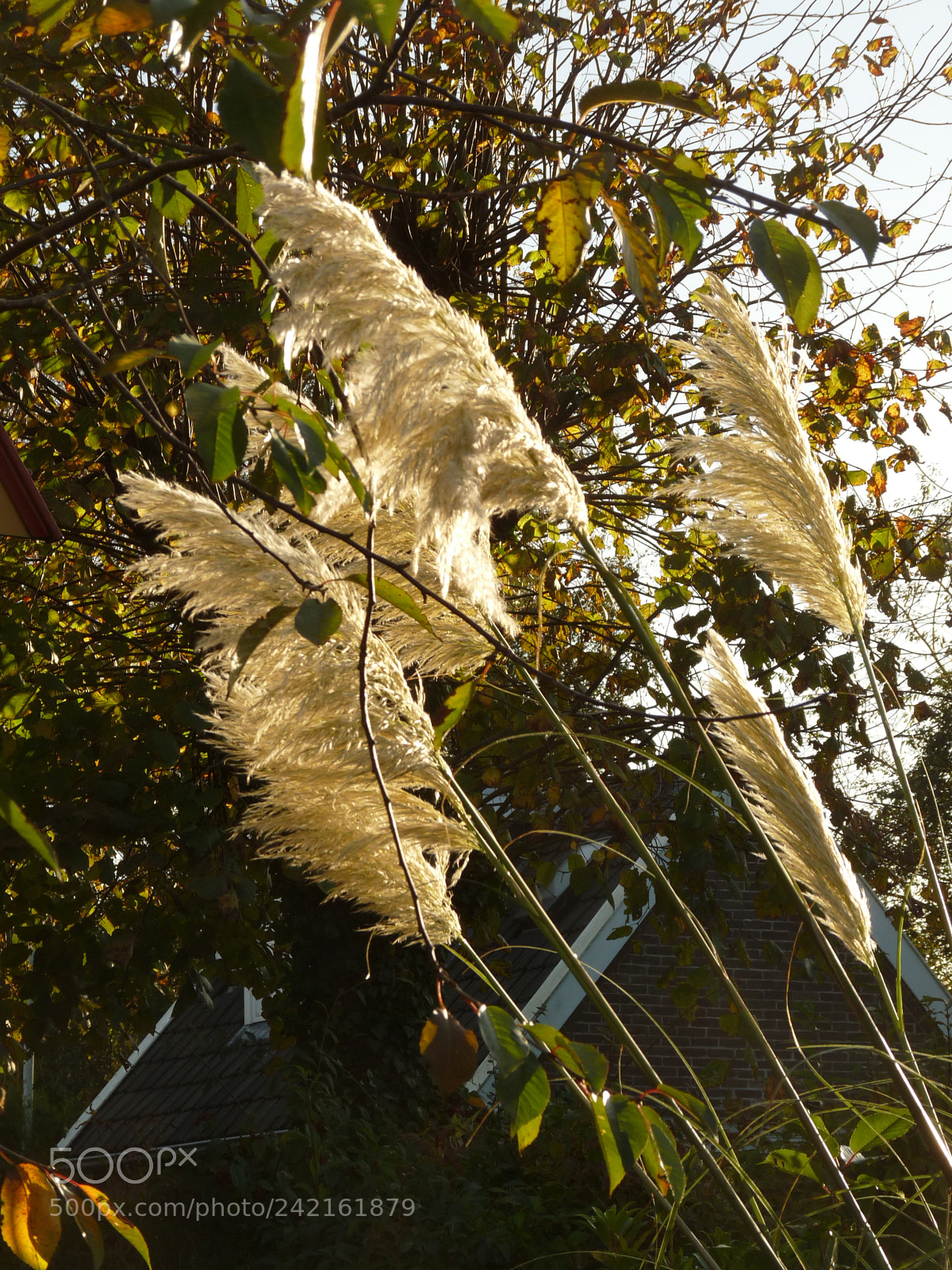 Panasonic Lumix DMC-FZ28 sample photo. . photography