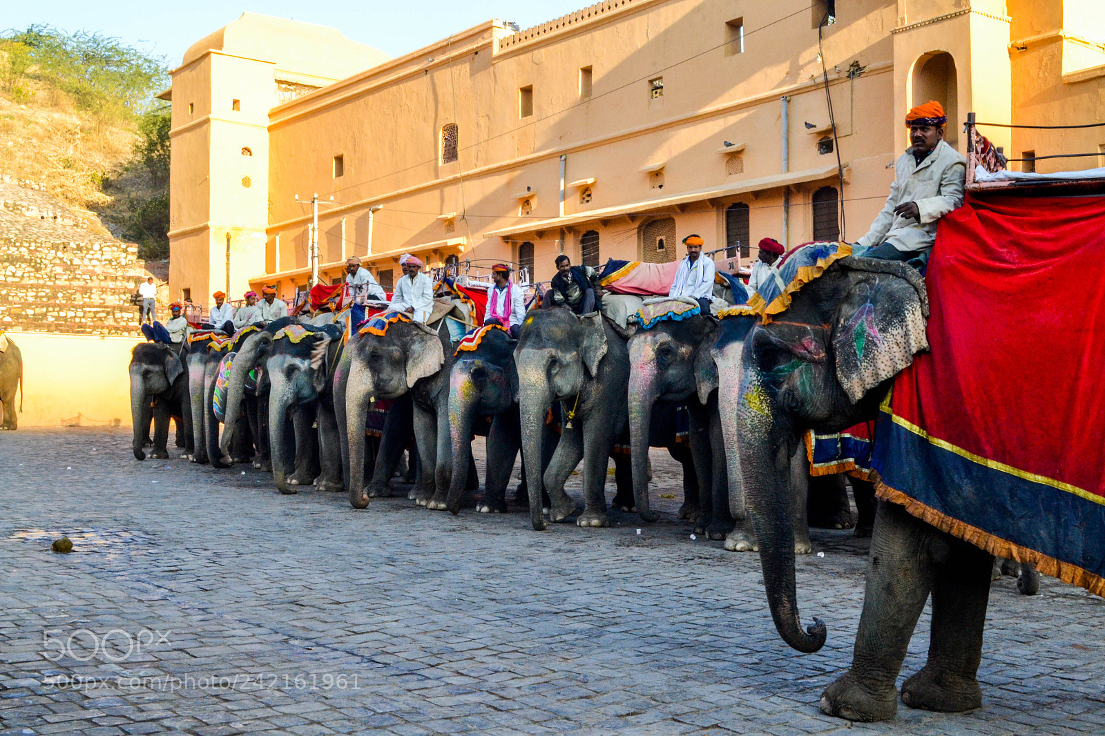 Nikon D3100 sample photo. Royal rajasthan photography