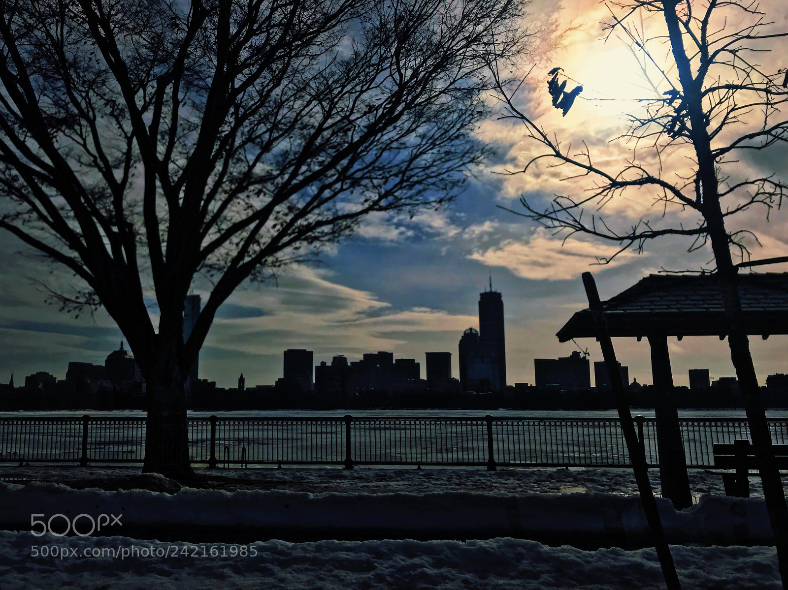 Apple iPhone 7 Plus sample photo. Charles river photography