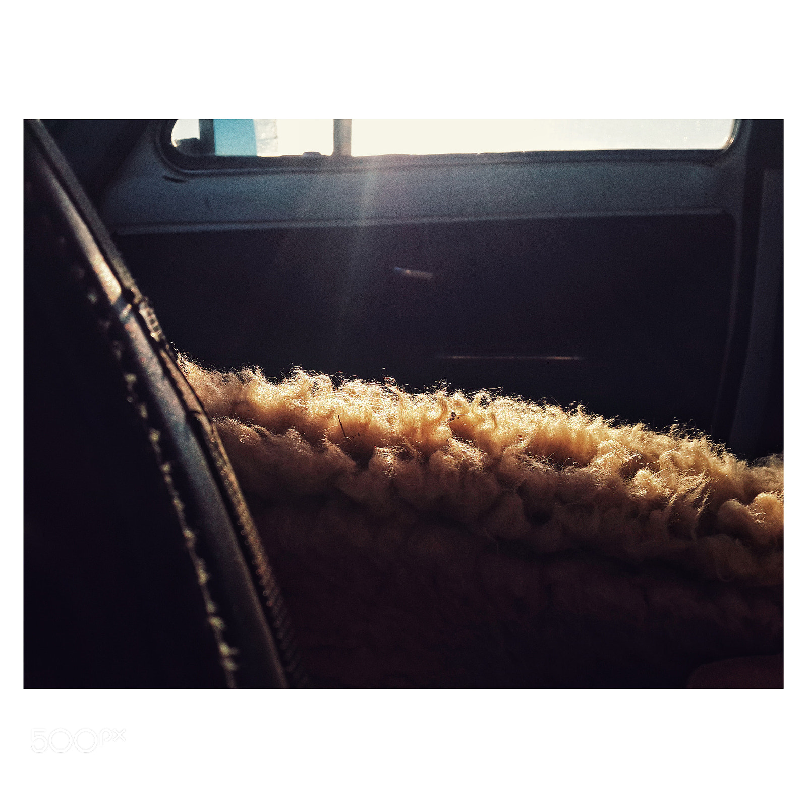 Samsung Galaxy S4 sample photo. Coat photography