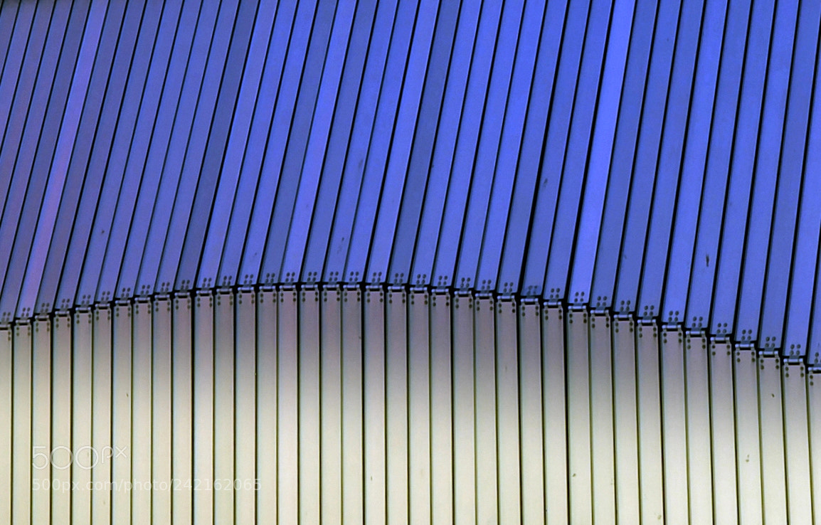 Nikon D700 sample photo. Dublin irlande photography